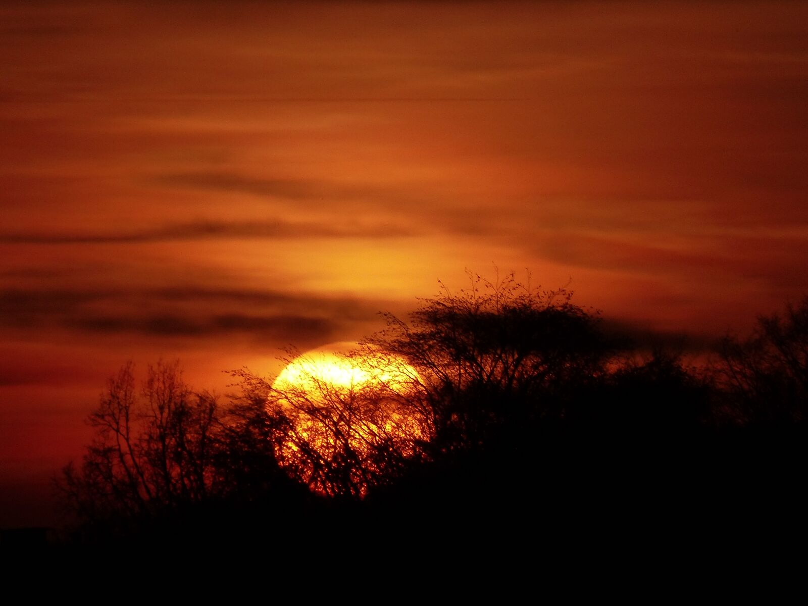Panasonic Lumix DMC-FZ200 sample photo. Sunset, sun, abendstimmung photography