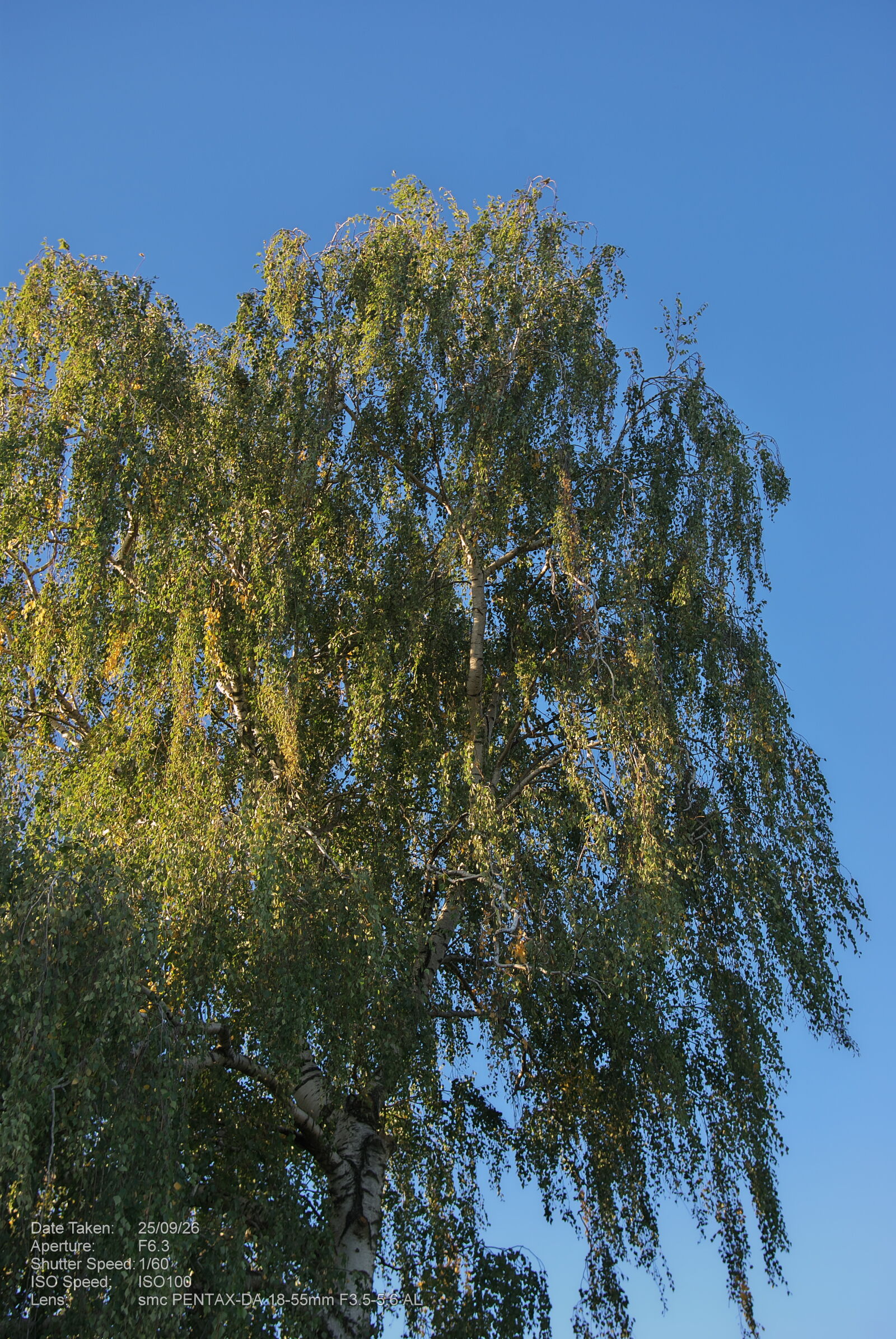 Pentax K200D sample photo