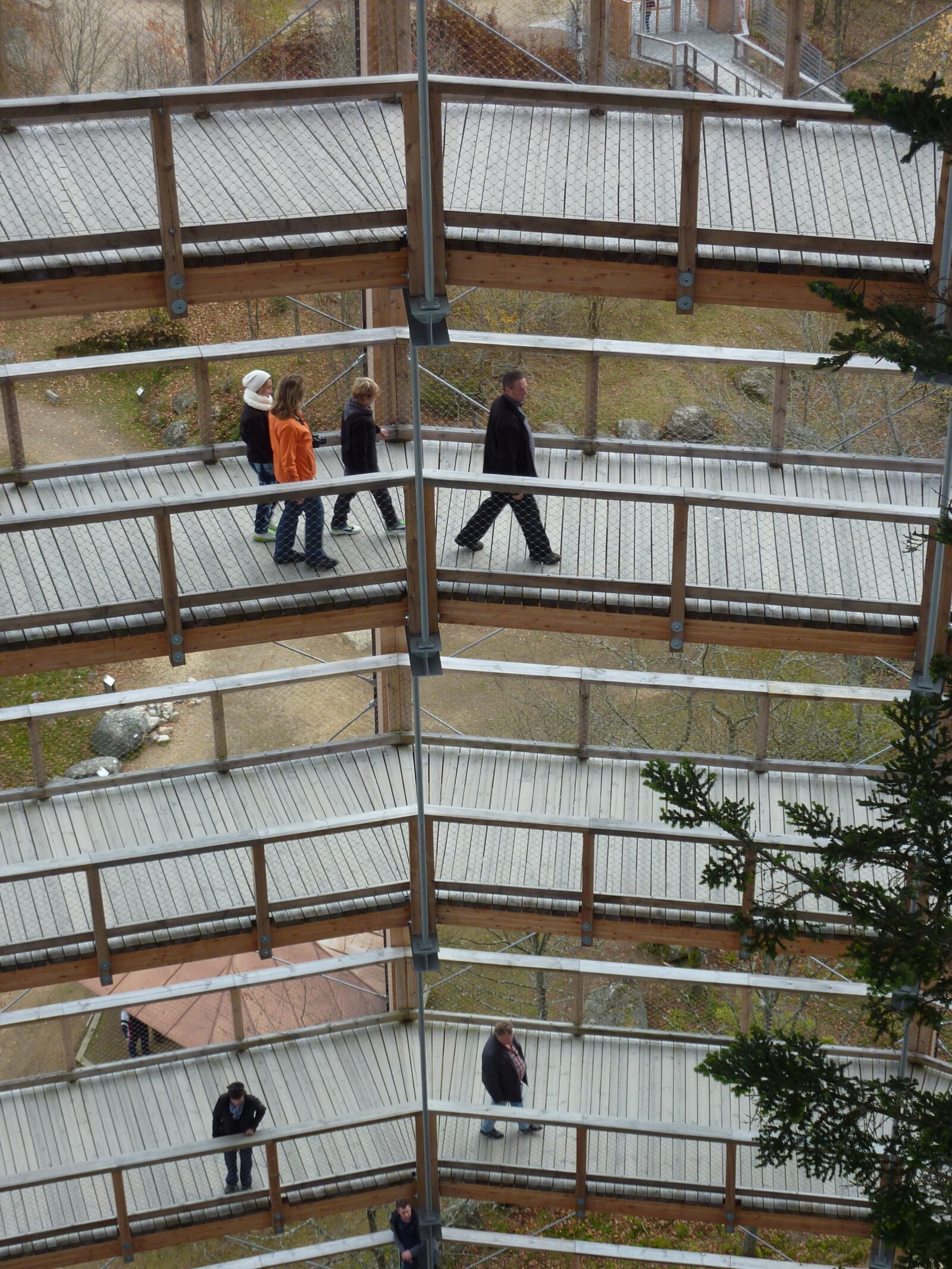 Panasonic DMC-TZ7 sample photo. Pedestrian, treetop path, bavarian photography