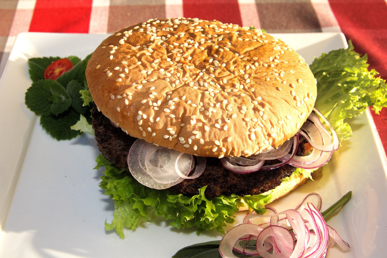 Canon EOS 60D sample photo. Burger, bread, hamburger photography