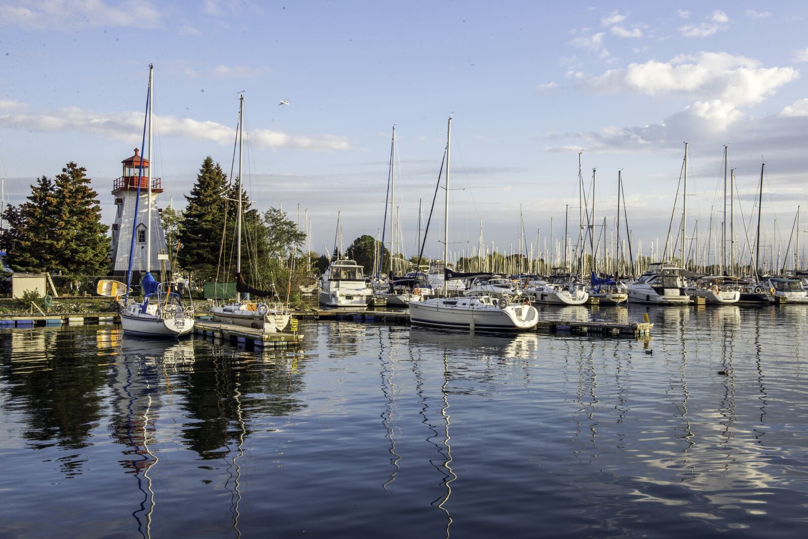 Nikon D610 sample photo. Toronto, lake ont, skies photography