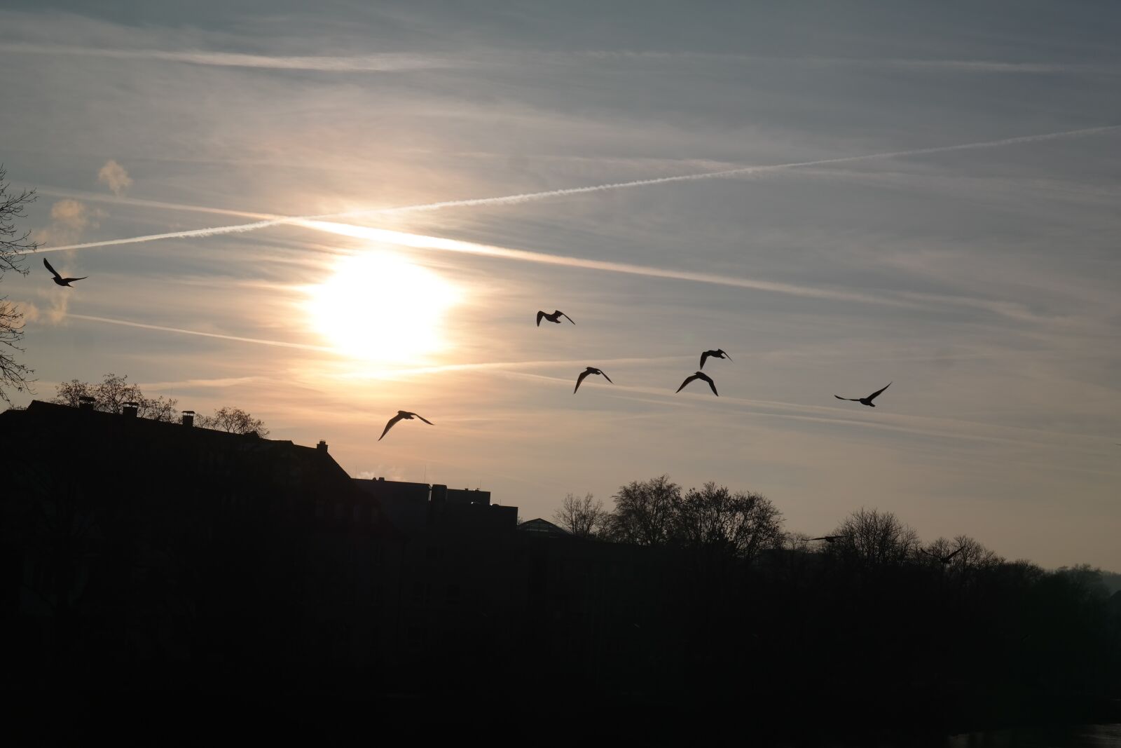 Samsung NX300 sample photo. Sunset, birds, flying photography