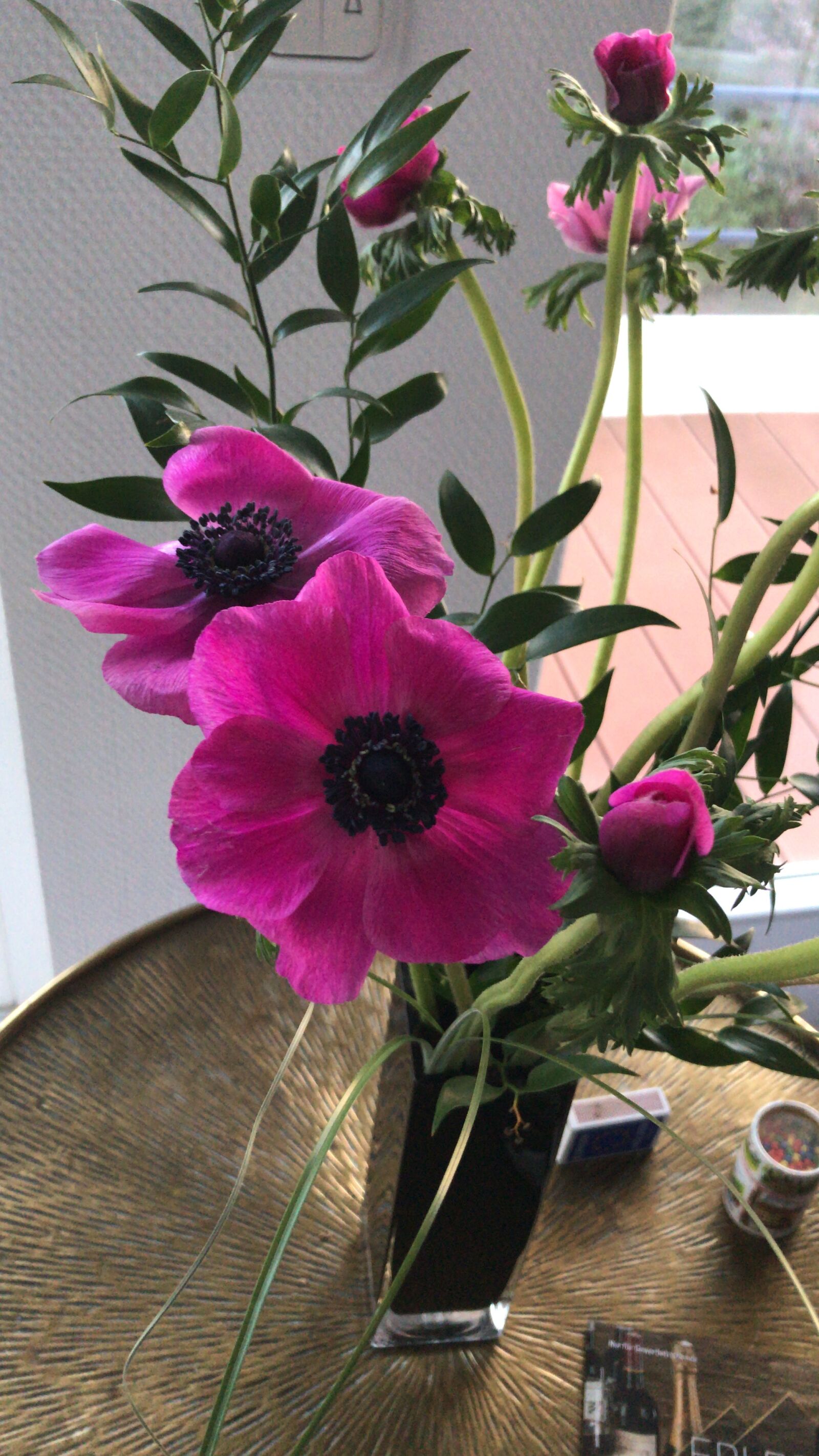 iPhone 7 back camera 3.99mm f/1.8 sample photo. Poppy, pink, vase photography