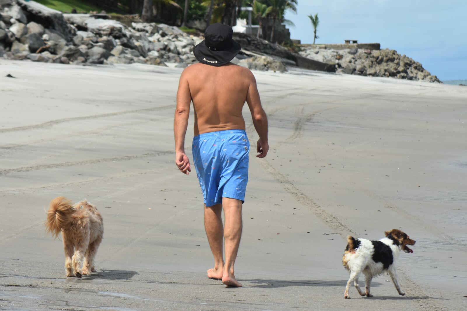 Nikon D7200 sample photo. Walk, beach, sand photography