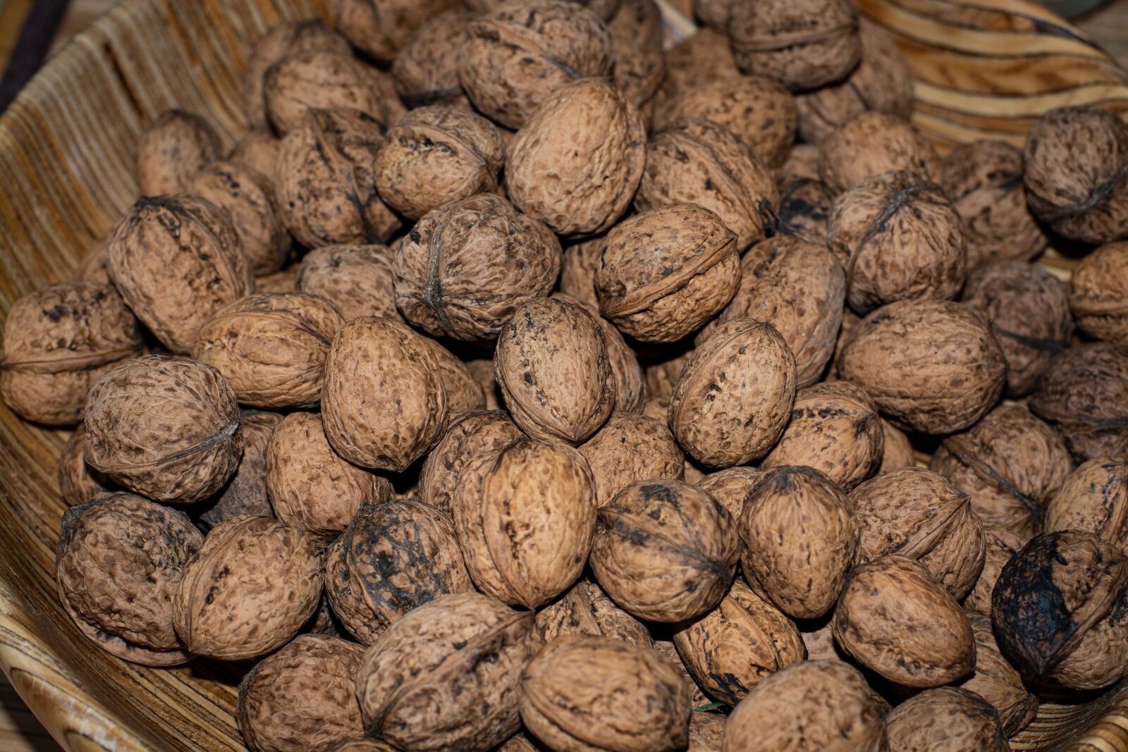 Nikon D7100 sample photo. Walnuts, shell, bio photography