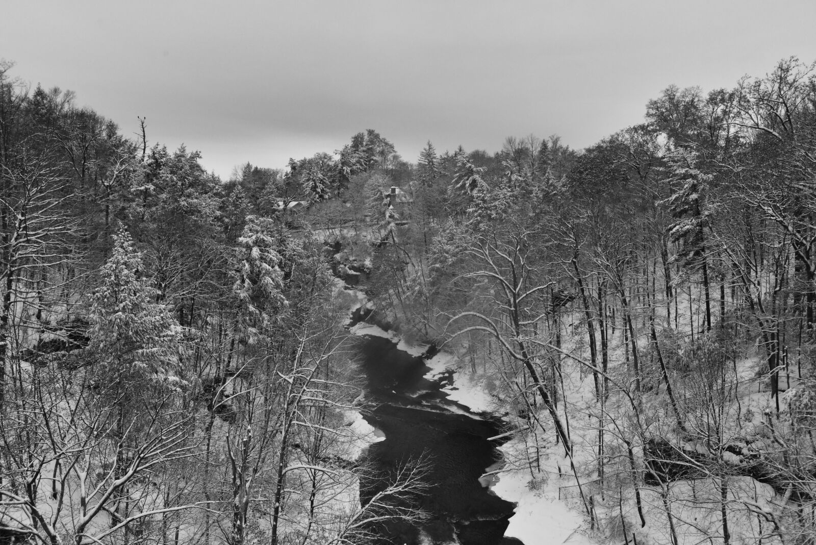Nikon D810 sample photo. Winter landscape, snow day photography