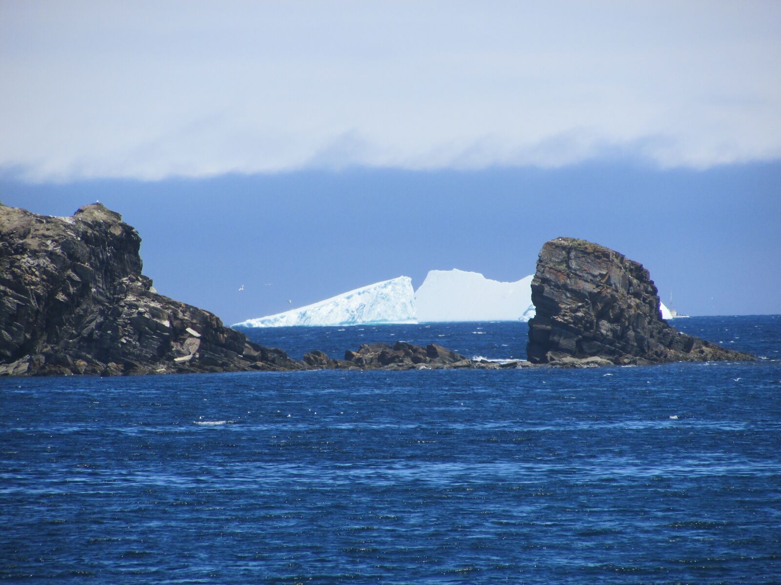 Canon PowerShot SX400 IS sample photo. Newfoundland, icebergs, north photography