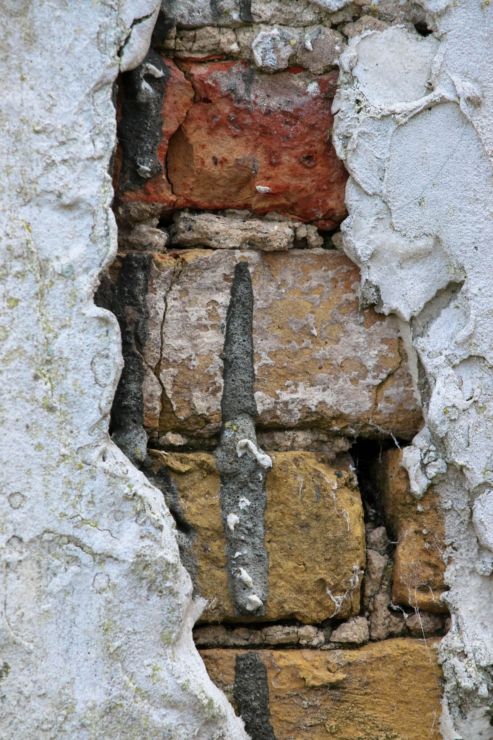 Canon EF-S 55-250mm F4-5.6 IS STM sample photo. Wall, old, add photography