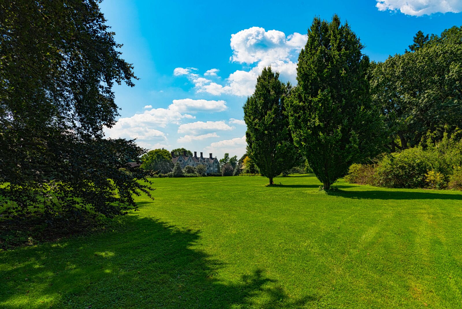 Nikon D750 sample photo. Estate, open field, mansion photography