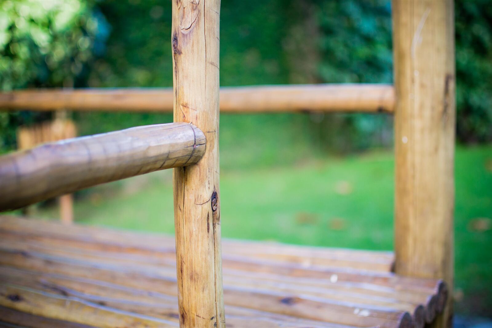 Nikon D3100 sample photo. Bamboo, bench, board, daylight photography