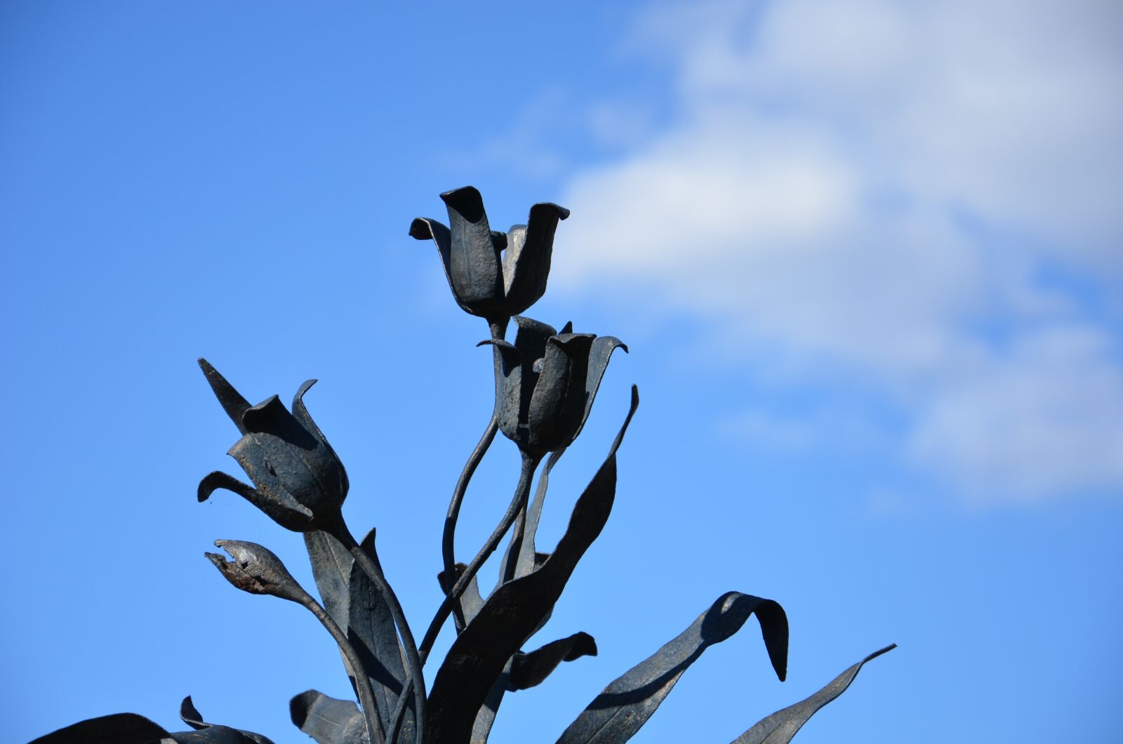 Nikon D7000 sample photo. Sky, sculpture, abstract photography