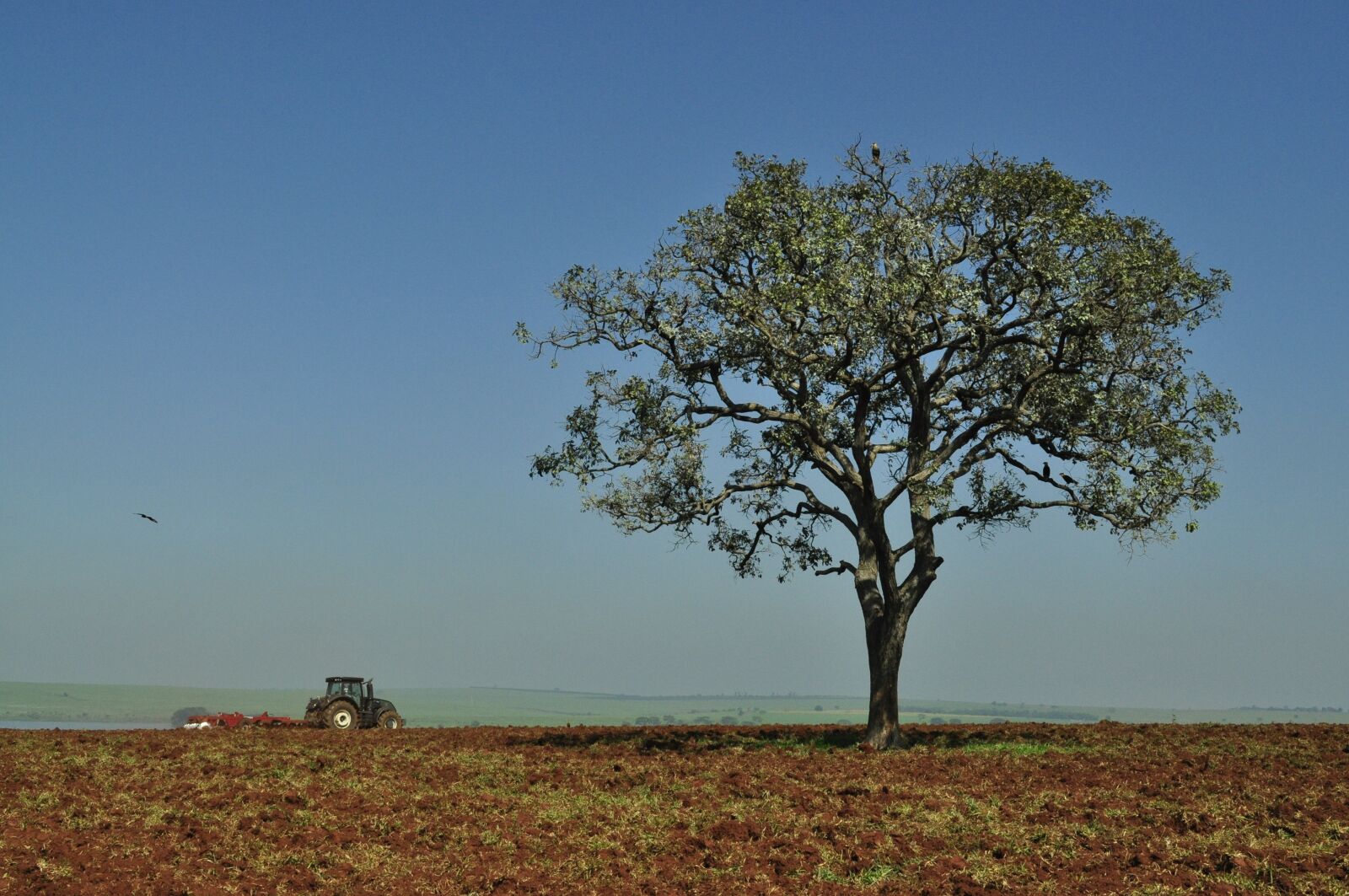 Nikon D5000 sample photo. Agriculture, tractor, field photography