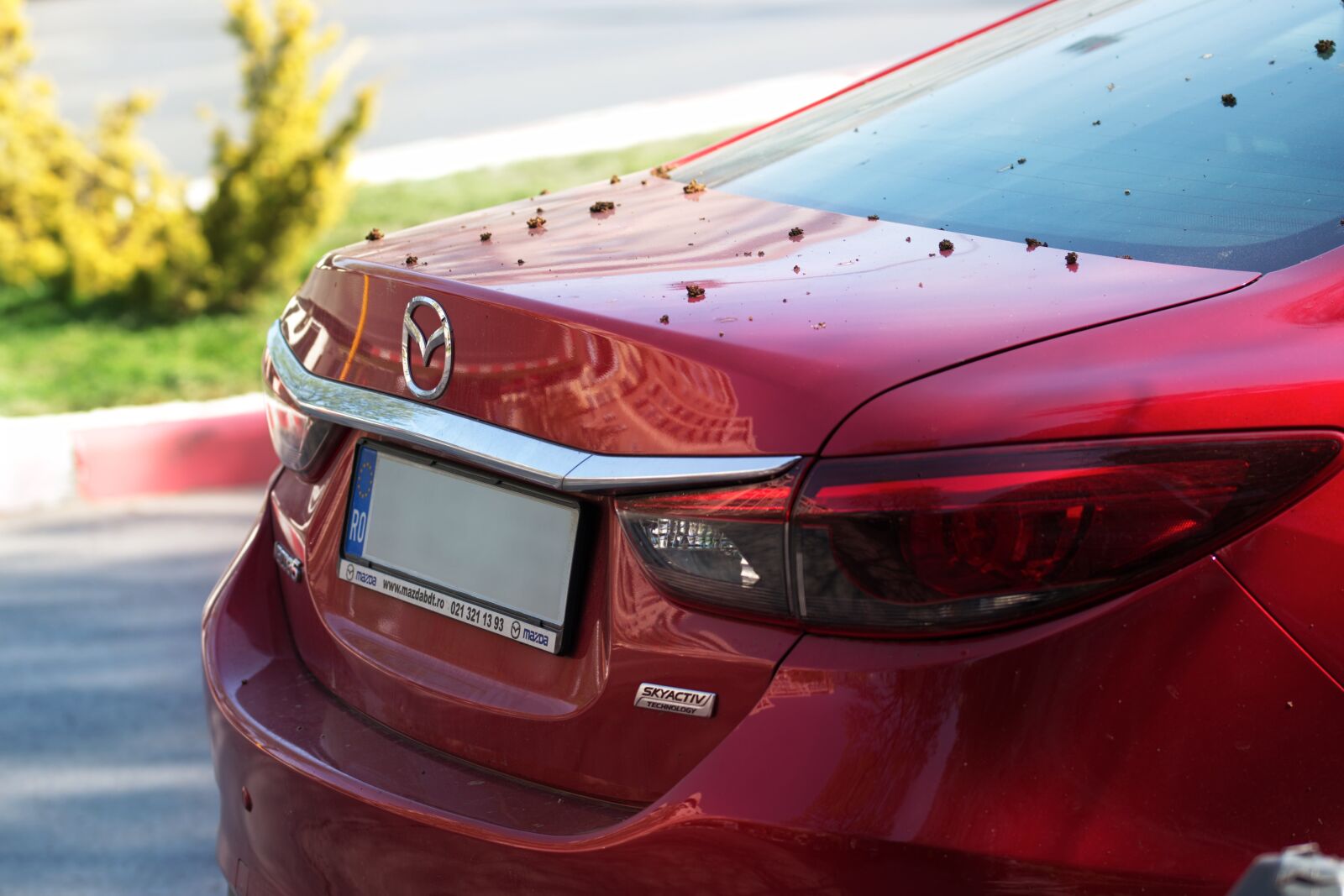 Nikon D5300 sample photo. Back, car, mazda photography