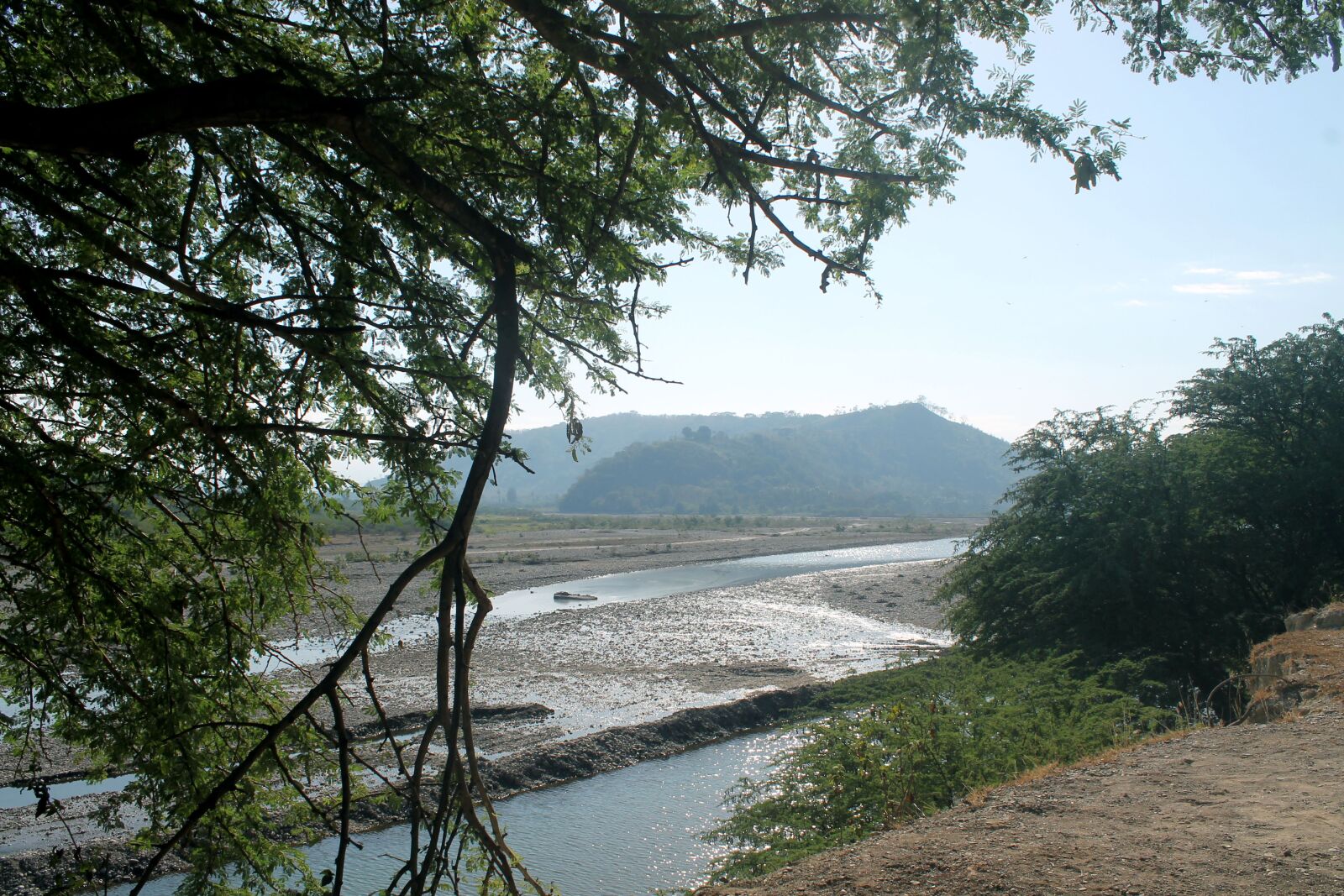 Canon EOS 1100D (EOS Rebel T3 / EOS Kiss X50) sample photo. River, branch, the tree photography