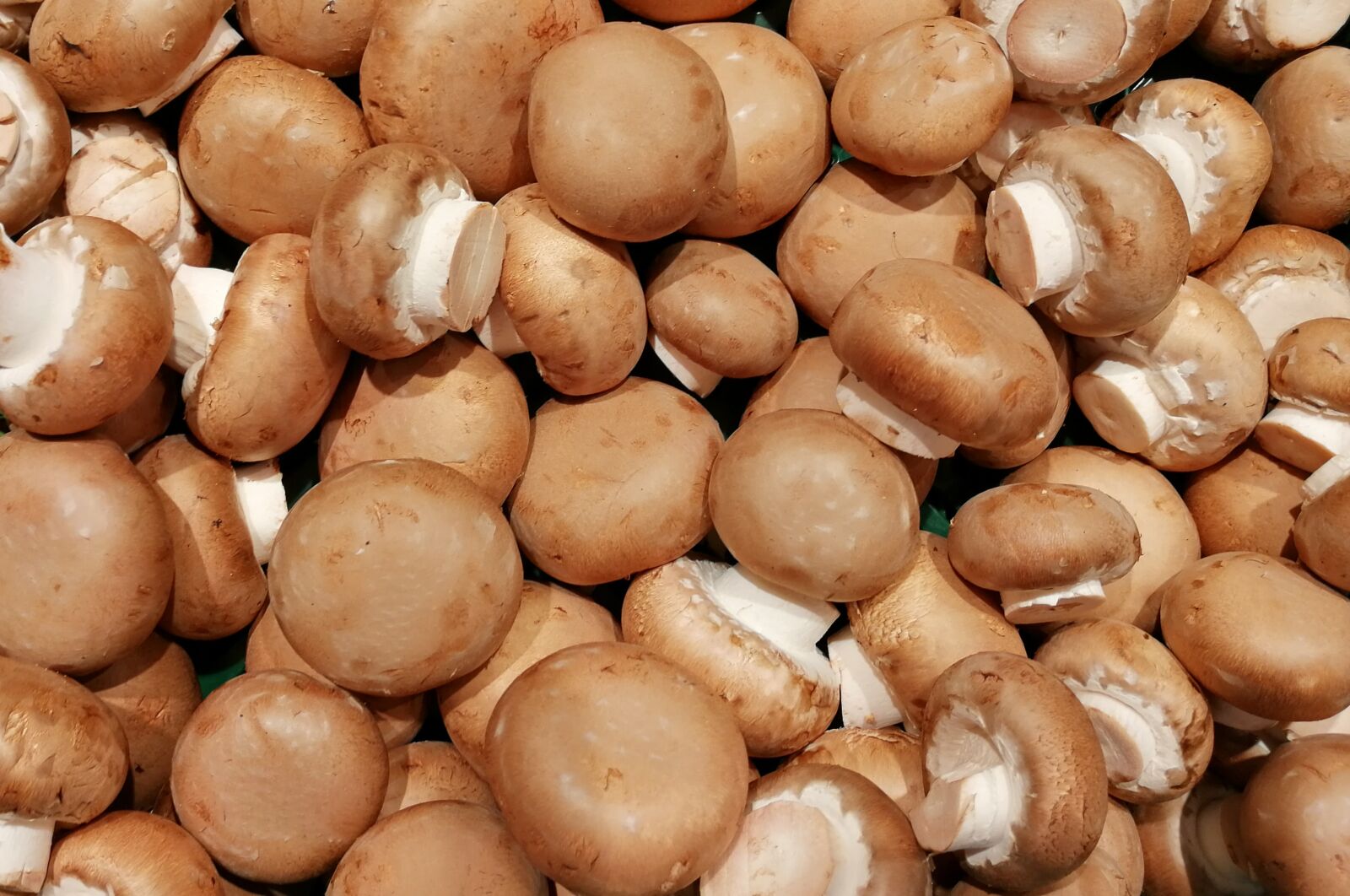 HUAWEI SNE-LX1 sample photo. Mushrooms, vegetables, healthy photography