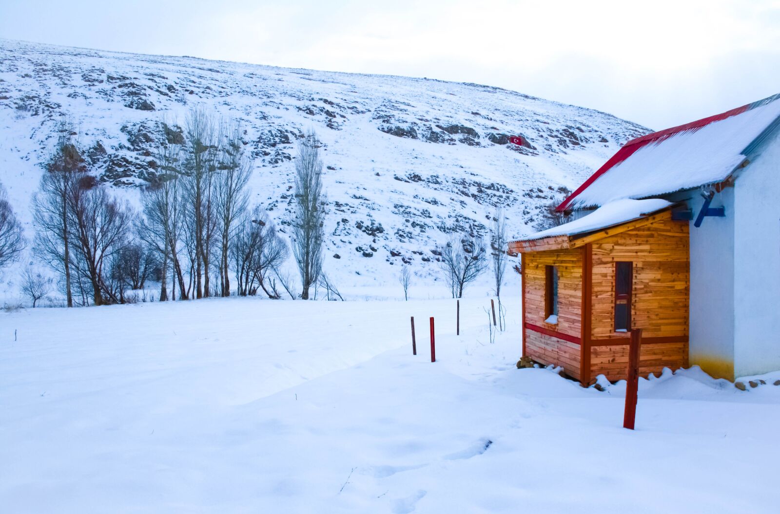 Canon EOS 1000D (EOS Digital Rebel XS / EOS Kiss F) sample photo. Winter, hut, nature photography