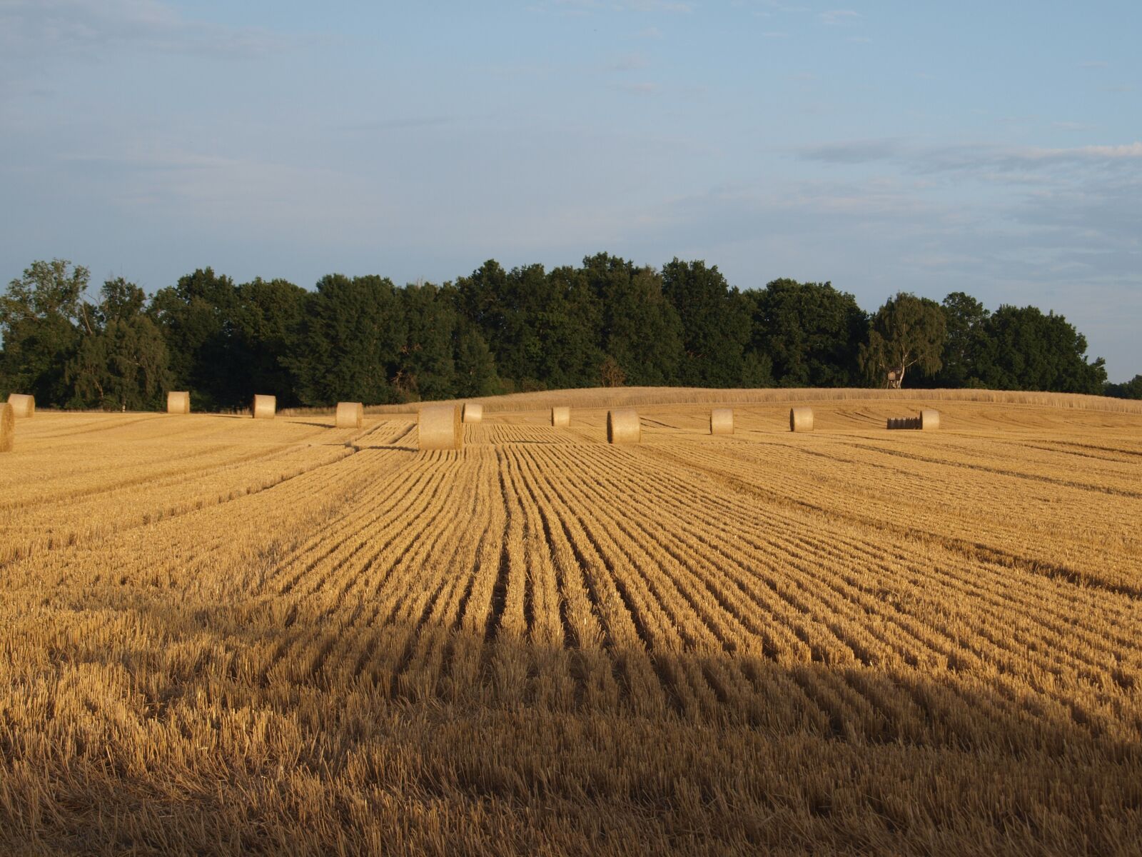 Olympus E-420 (EVOLT E-420) sample photo. Straw bales, field, straw photography