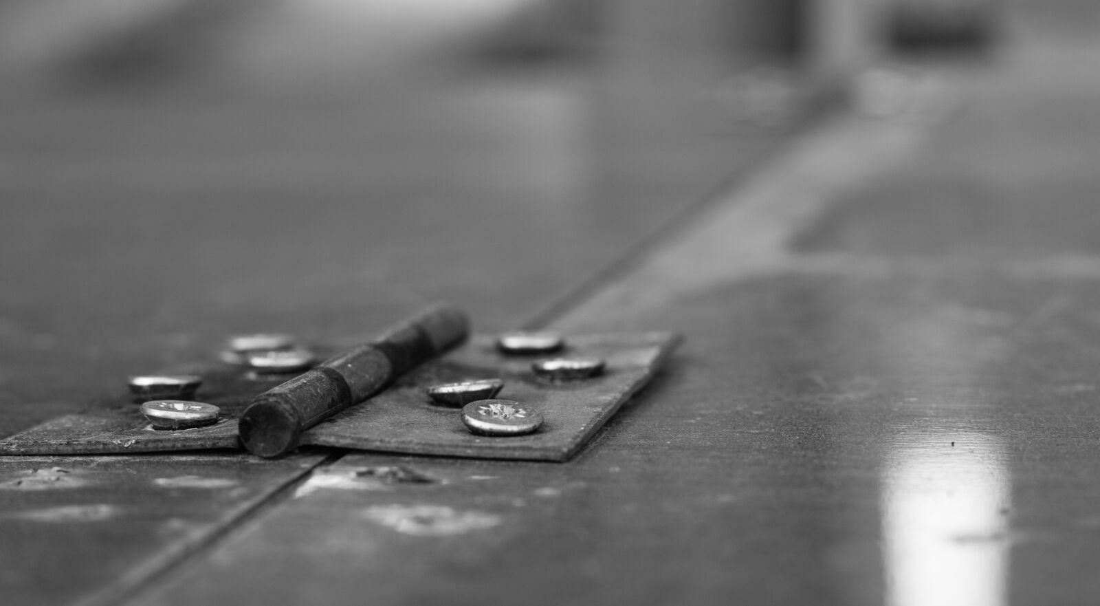 Canon EOS 700D (EOS Rebel T5i / EOS Kiss X7i) + Canon EF 50mm F1.8 STM sample photo. Joint, the screws, depth photography