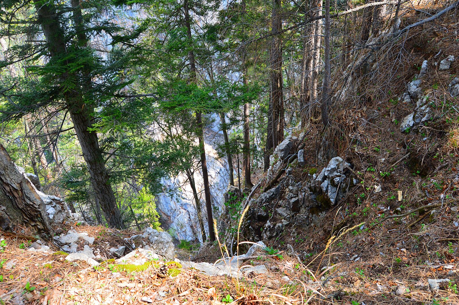 Nikon D3200 sample photo. Snow mountain, rax, lower photography