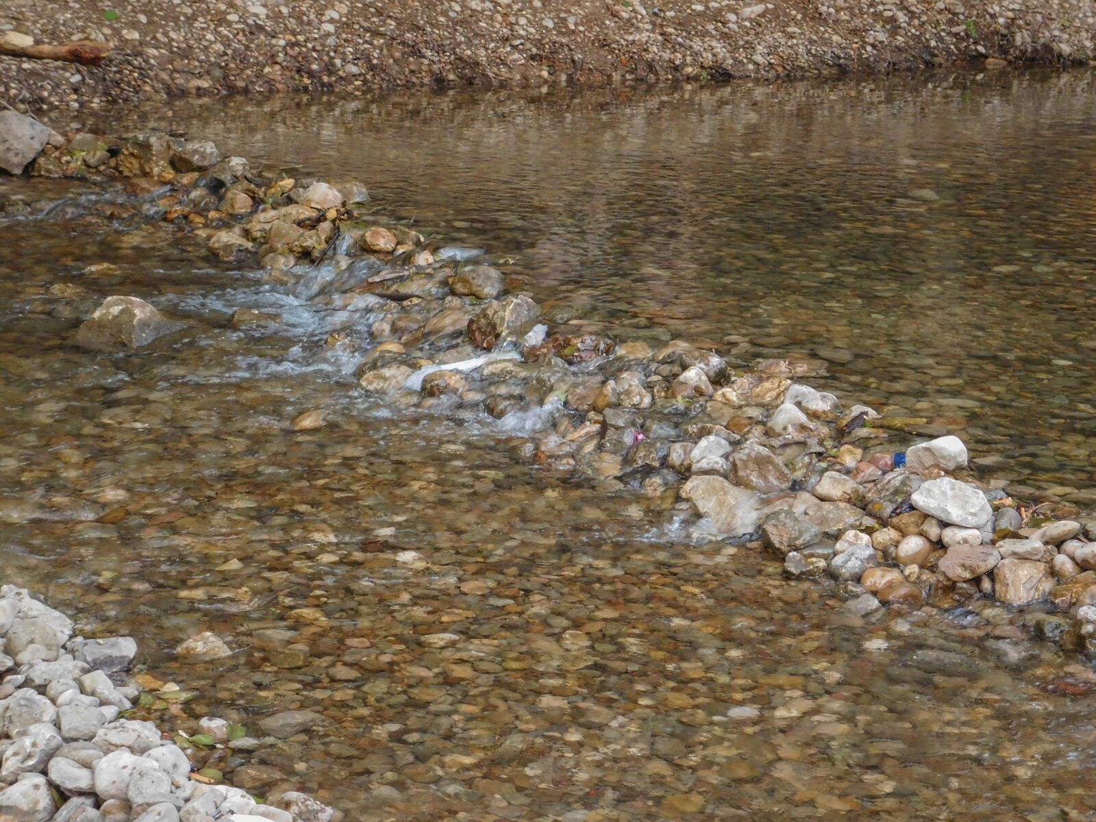 Nikon Coolpix L840 sample photo. Water, forest, nature photography