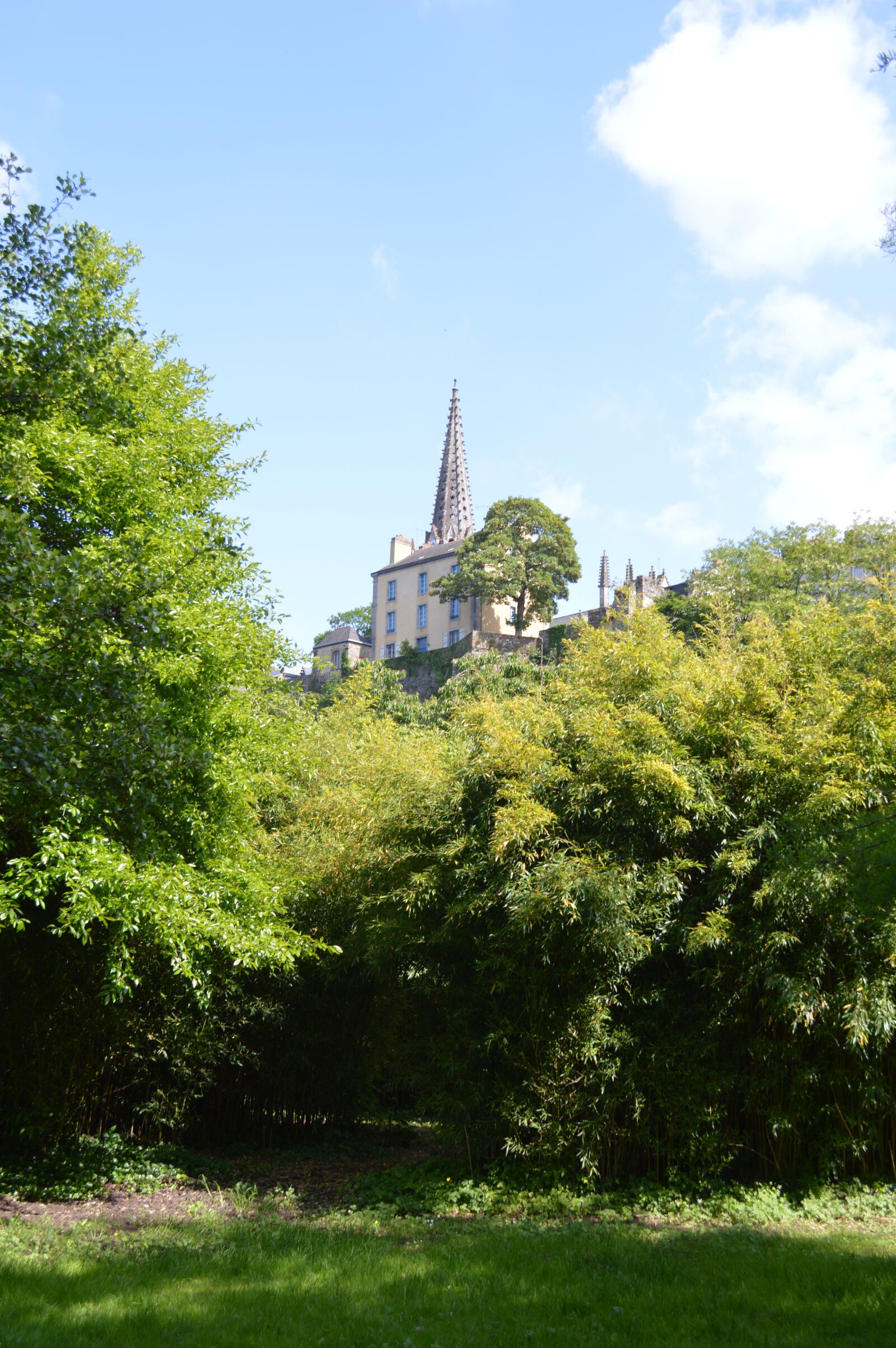 Nikon D3200 sample photo. Bell tower, garden, green photography