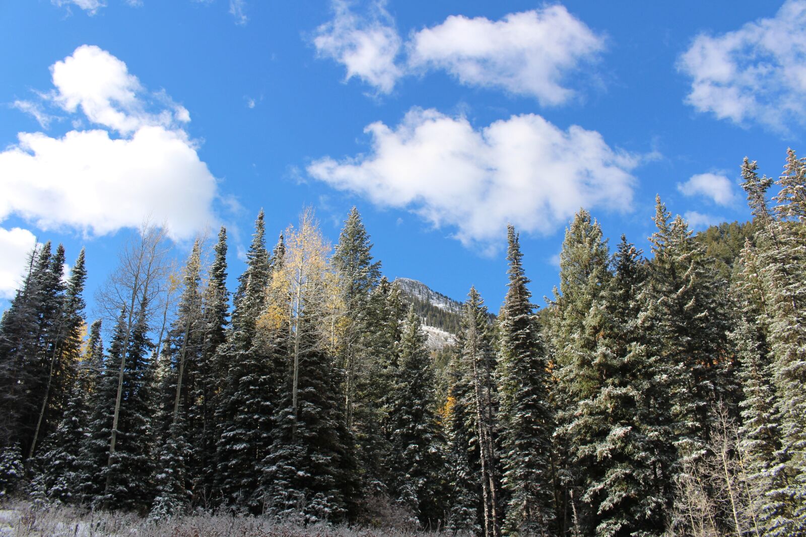Canon EOS 100D (EOS Rebel SL1 / EOS Kiss X7) sample photo. Donut falls, utah mountains photography