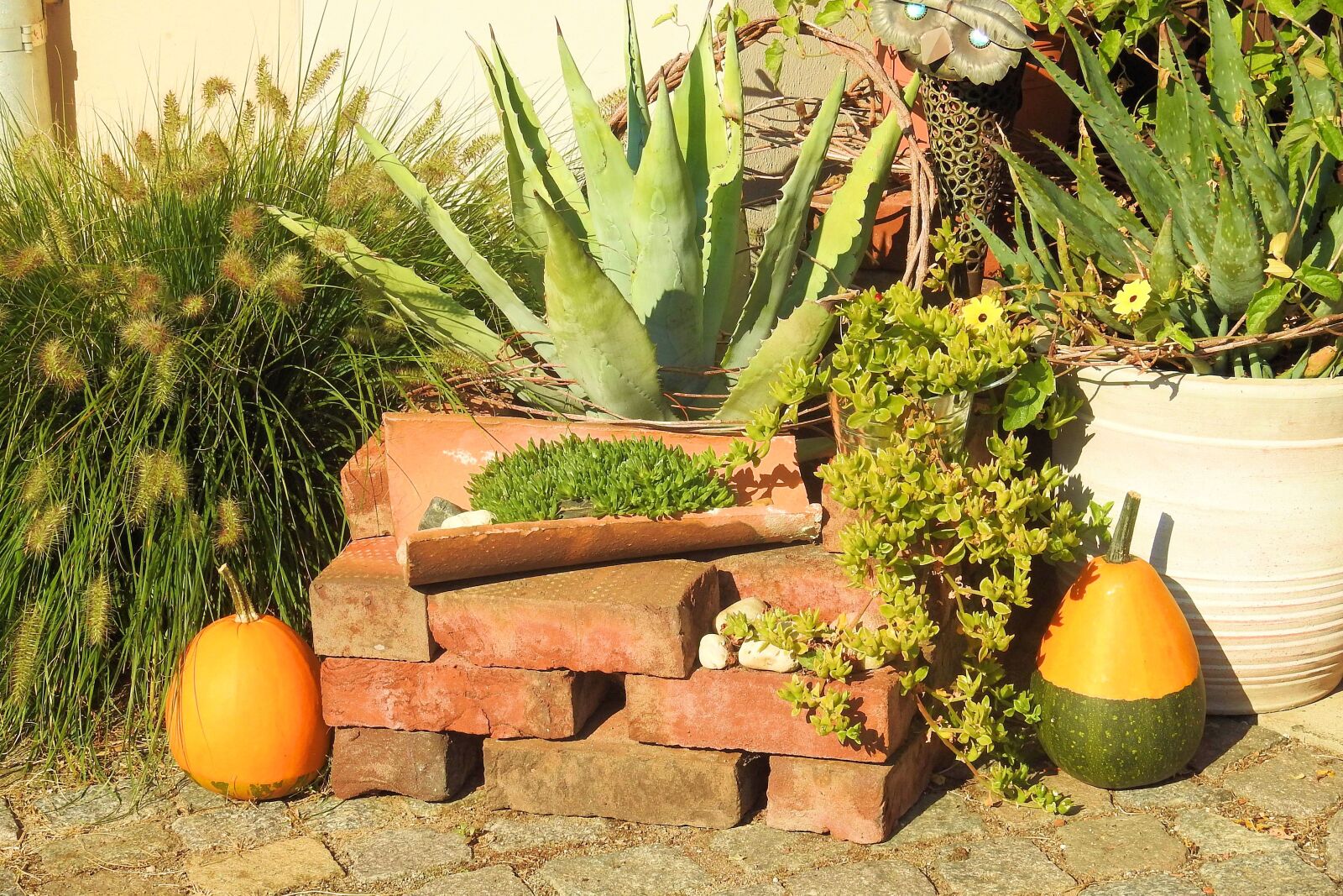 Nikon Coolpix P900 sample photo. Herbstdeko, deco, autumn decoration photography
