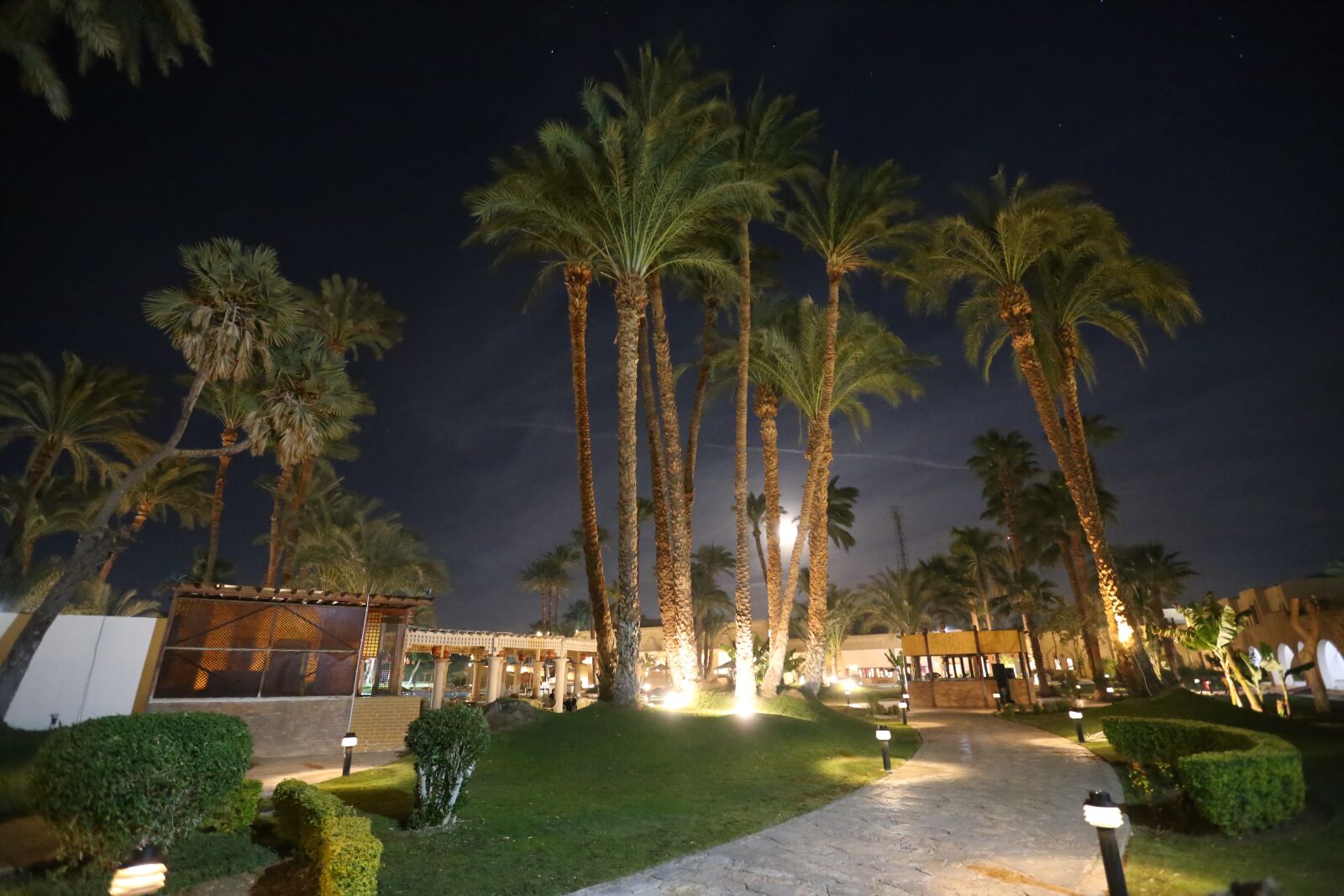 Canon EOS 6D + Canon EF 16-35mm F2.8L II USM sample photo. Night view, hotel, egypt photography