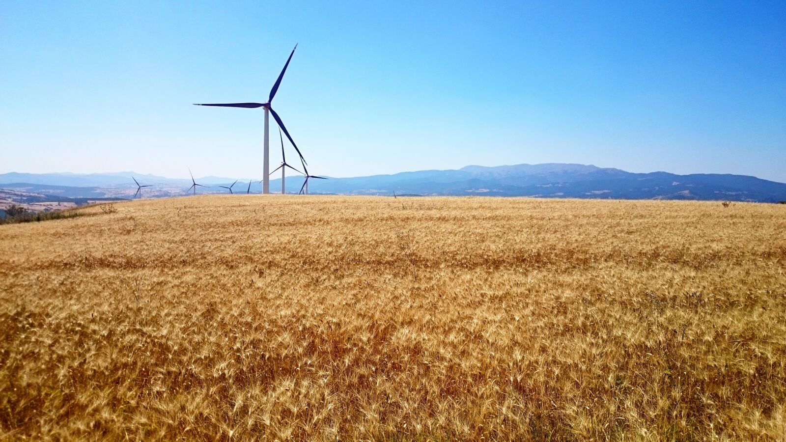 Sony Xperia Z1 Compact sample photo. Wind, wind turbine, wind photography
