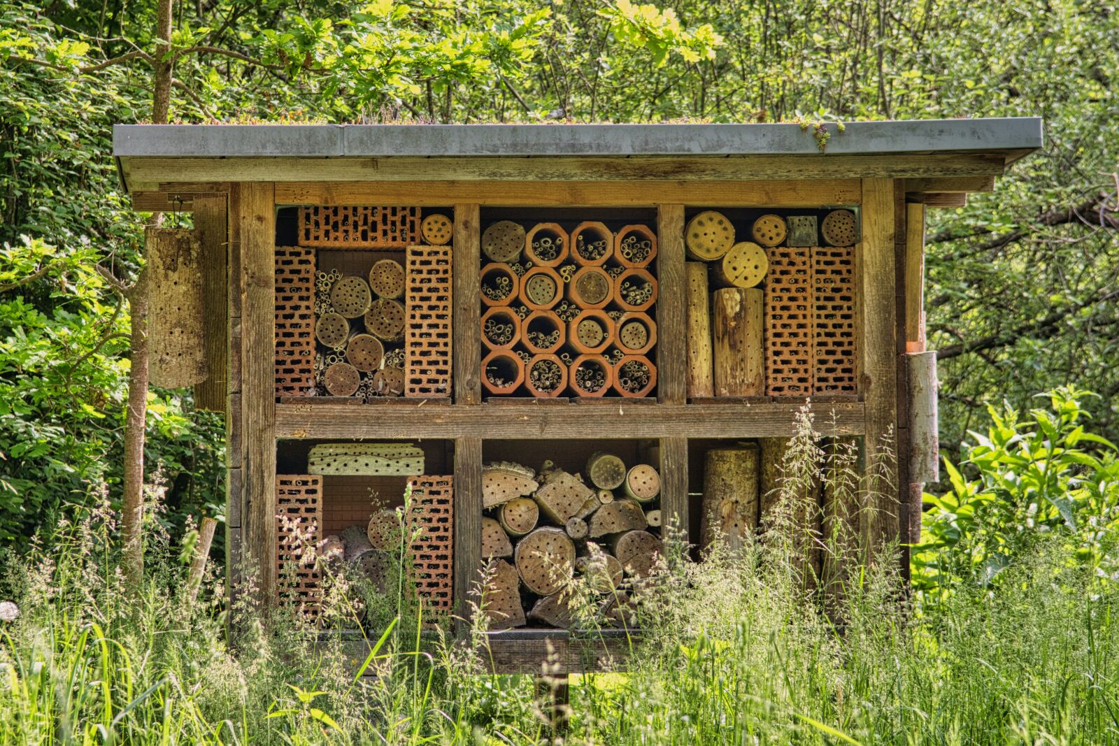 Nikon D7500 sample photo. Wasps, bees, hotel photography