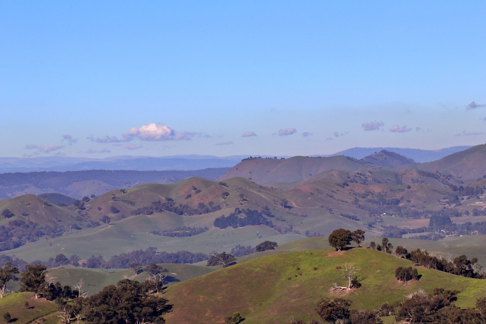 Canon EF 100mm F2.8L Macro IS USM sample photo. Landscape, australia, scenic photography