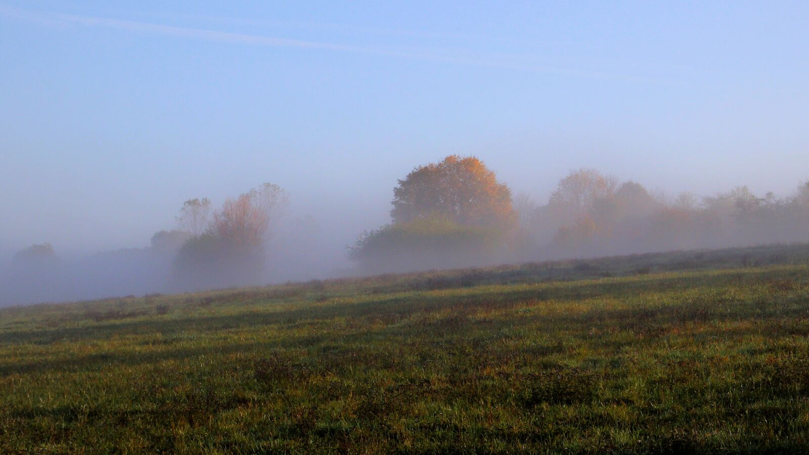 Canon EOS 600D (Rebel EOS T3i / EOS Kiss X5) sample photo. Fog, landscape, nature photography