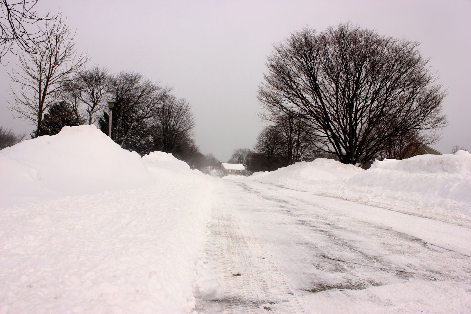 Canon EOS 550D (EOS Rebel T2i / EOS Kiss X4) sample photo. Winter, snow, snowstorm photography