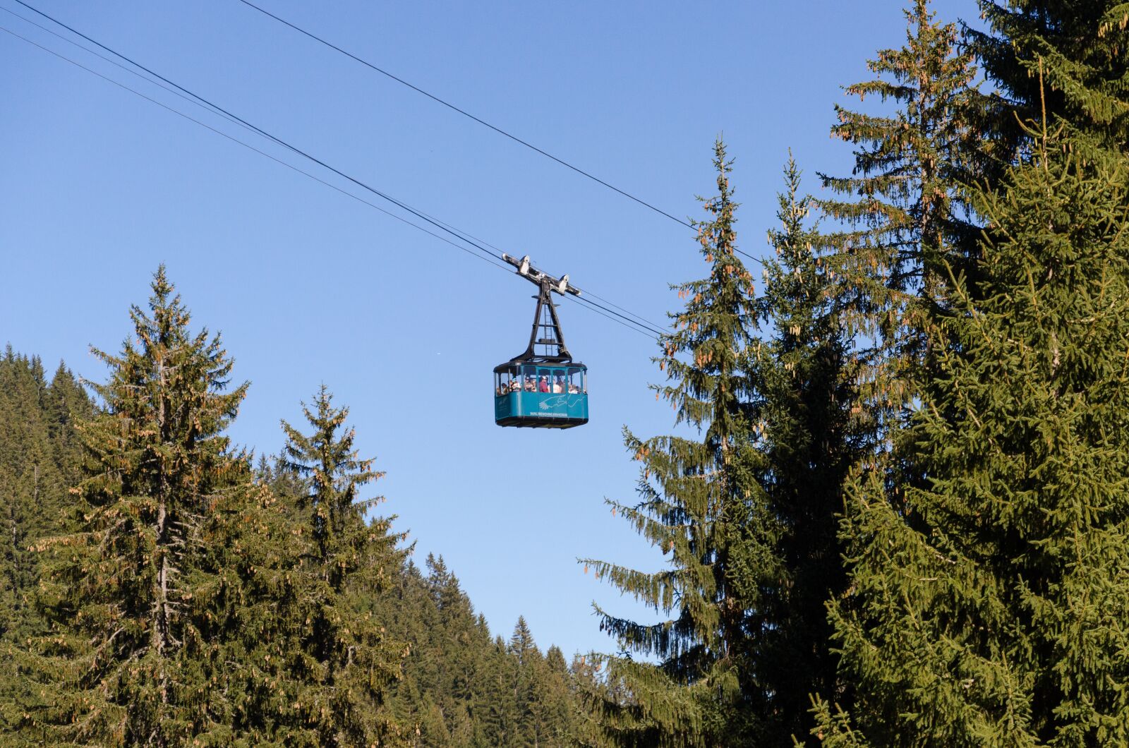 Nikon D5100 sample photo. Austria, mountain, forest photography