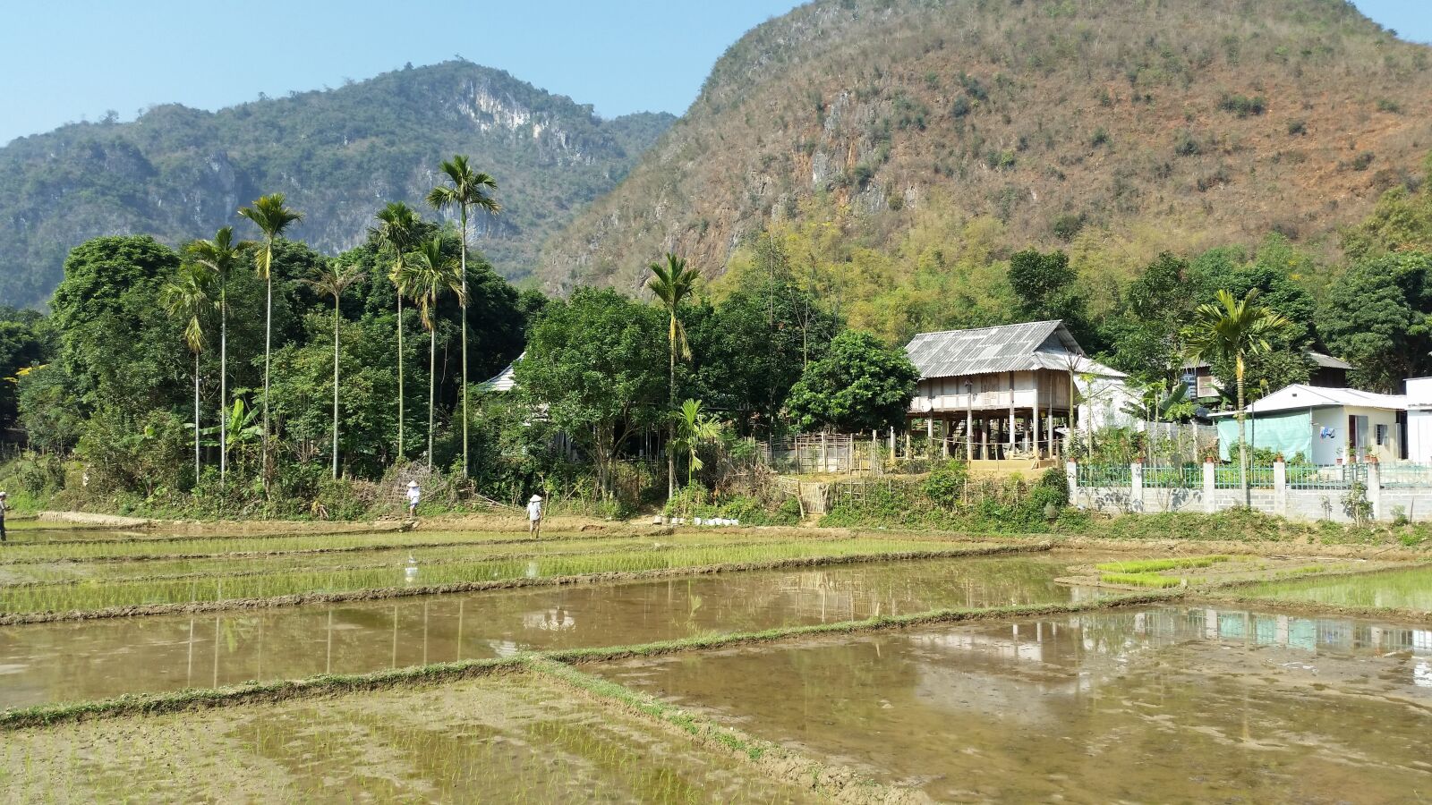 Samsung Galaxy S5 sample photo. Strabismus, mai chau, hao photography