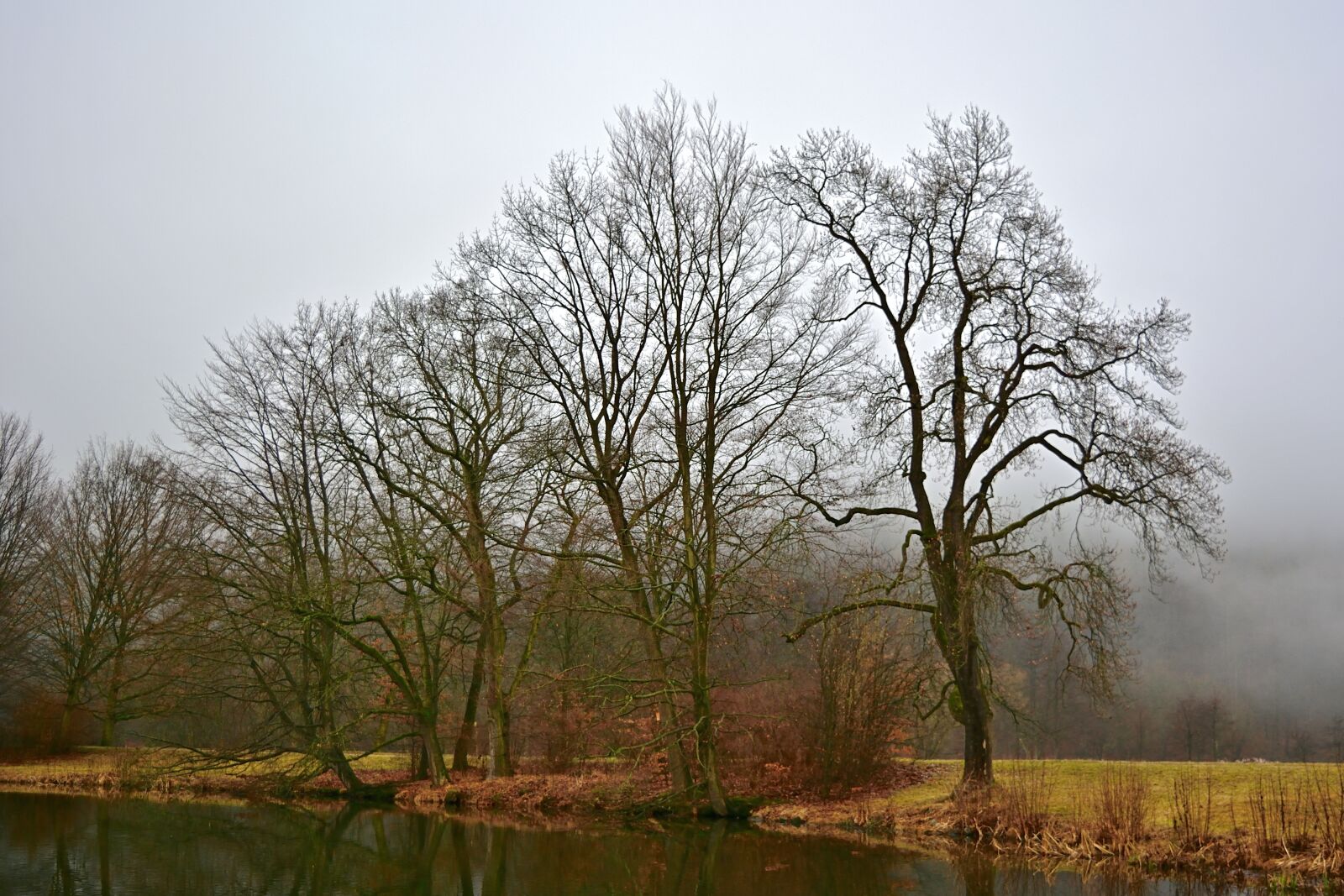 Nikon D5200 sample photo. Nature, park, lake photography