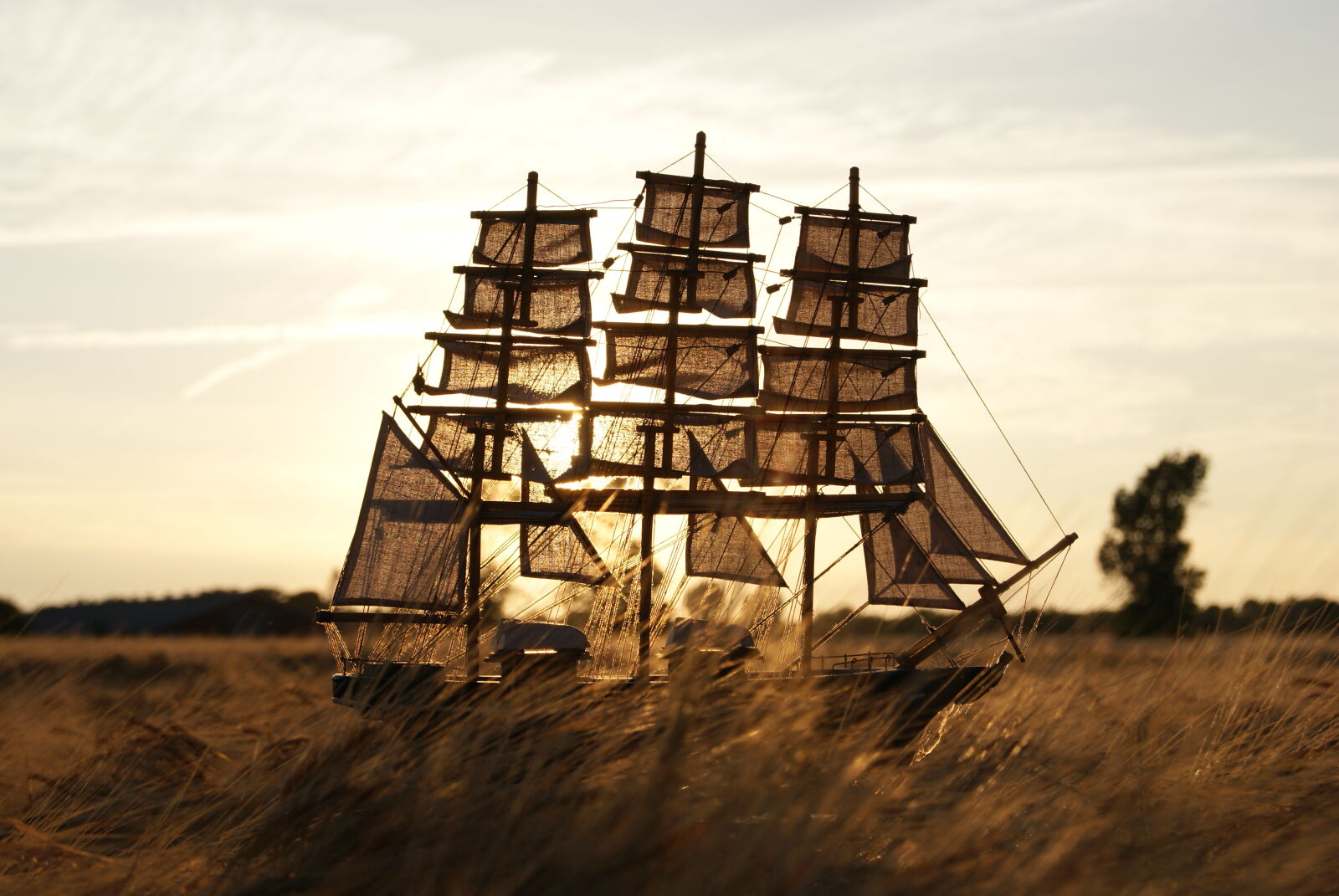 Sony Alpha DSLR-A230 sample photo. Field, sail, ship, summer photography
