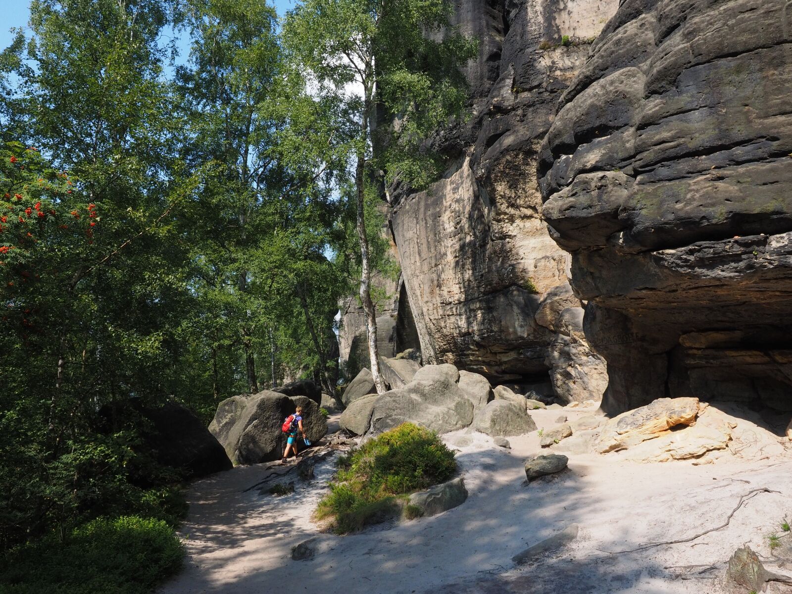 Olympus OM-D E-M1 + Olympus M.Zuiko Digital ED 12-40mm F2.8 Pro sample photo. Frienstein, elbe sandstone, hike photography