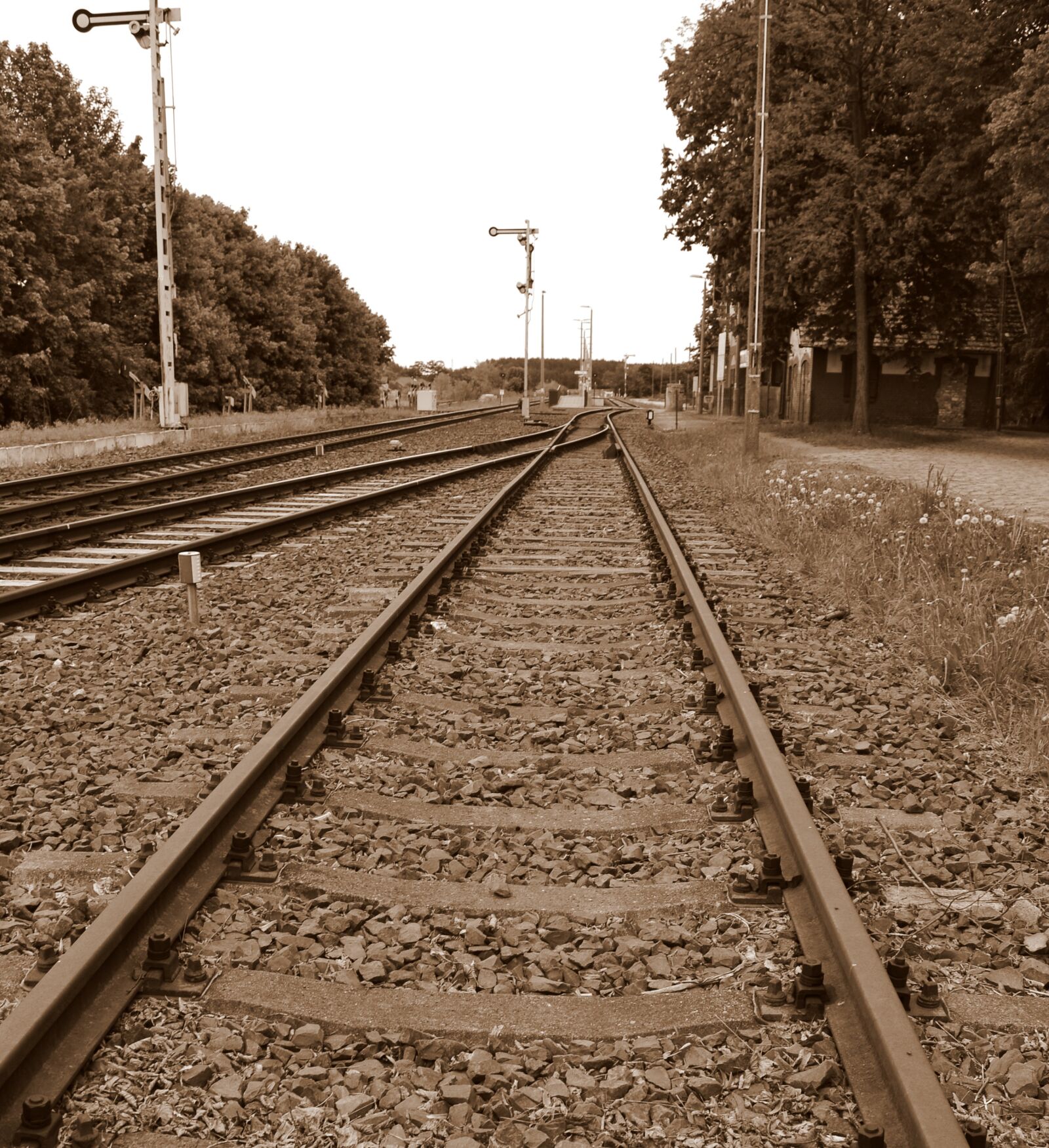 Nikon D3100 sample photo. Tracks, railway, rails photography