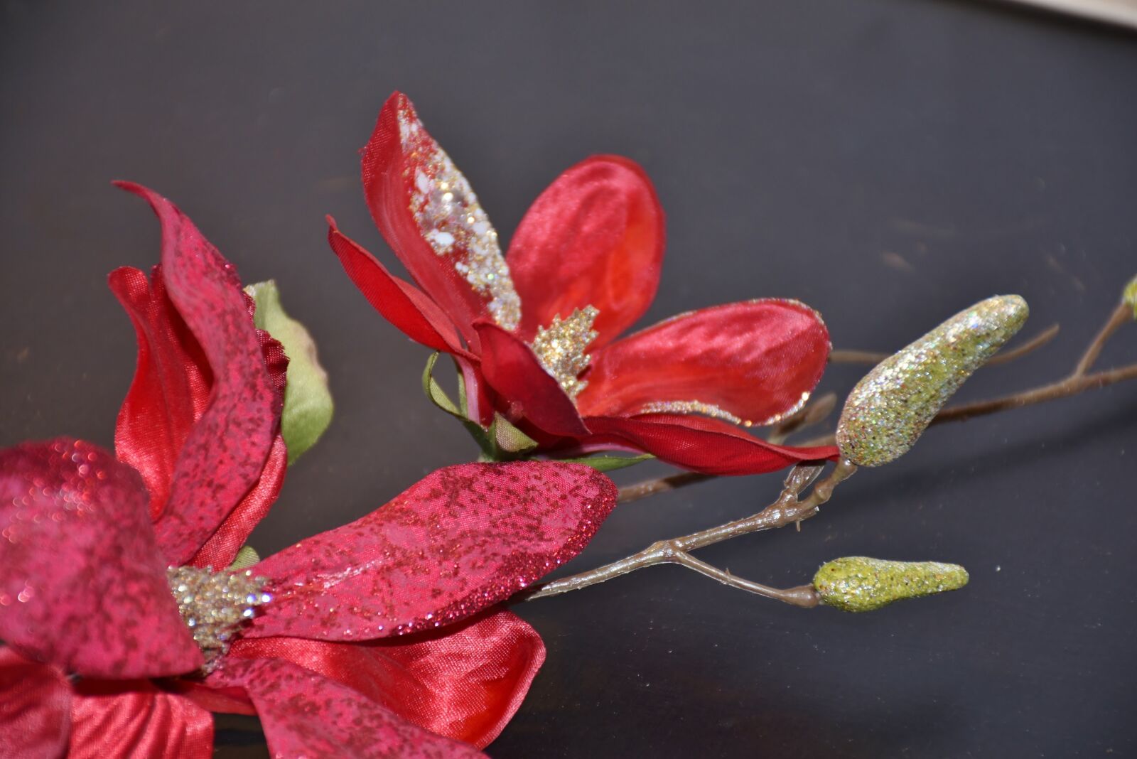 Nikon D7200 sample photo. Blossom, bloom, flower photography