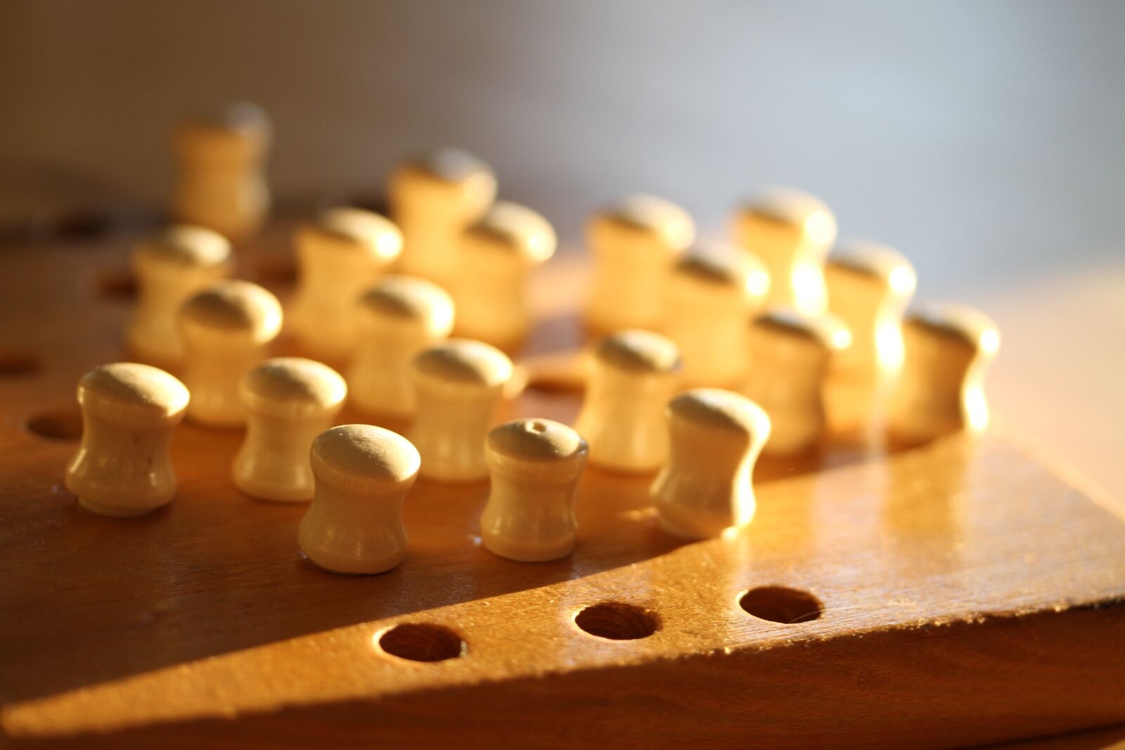 Canon EOS 7D sample photo. Wooden toys, plug-in figures photography