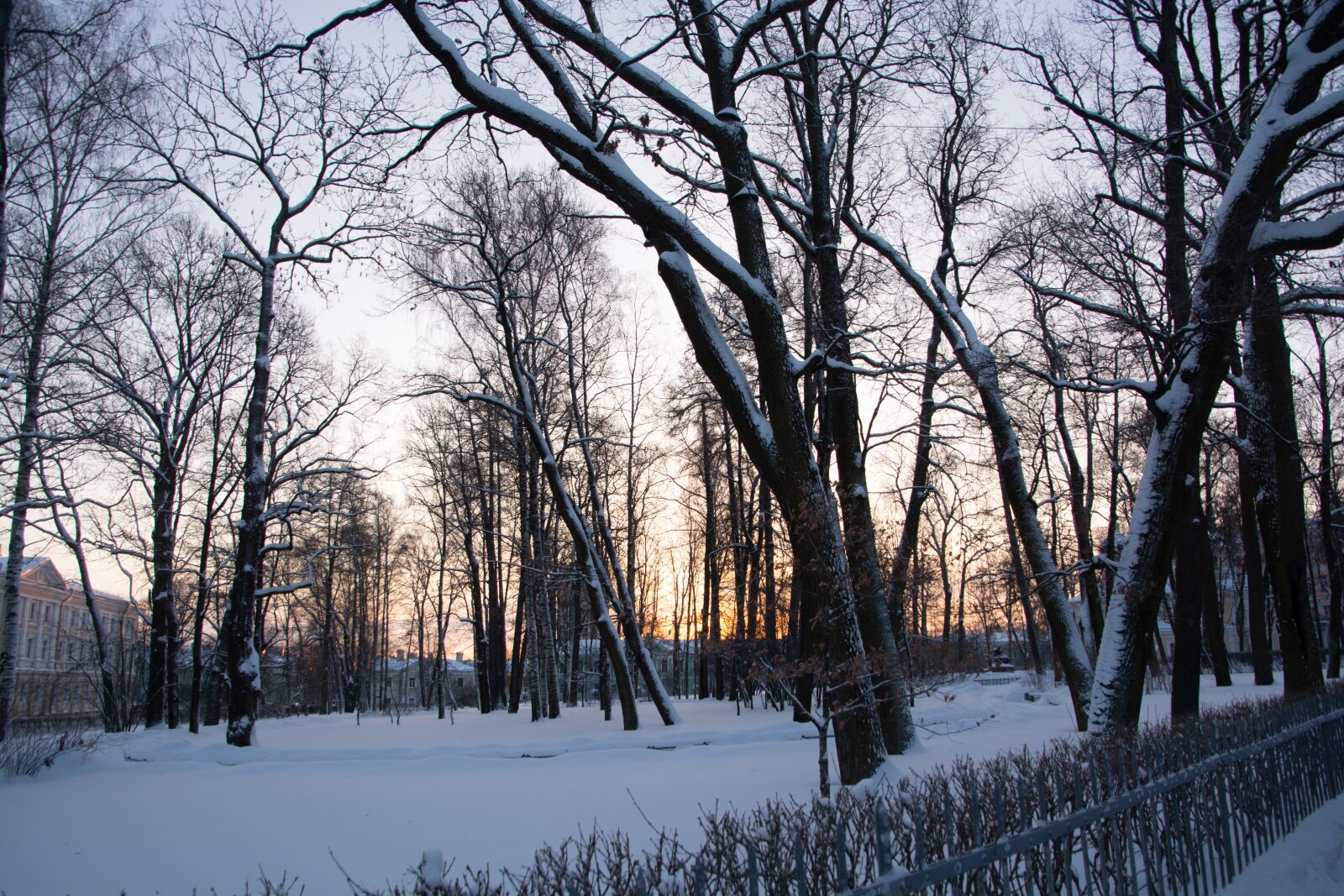 Tamron 16-300mm F3.5-6.3 Di II VC PZD Macro sample photo. Snow, russia, tree photography
