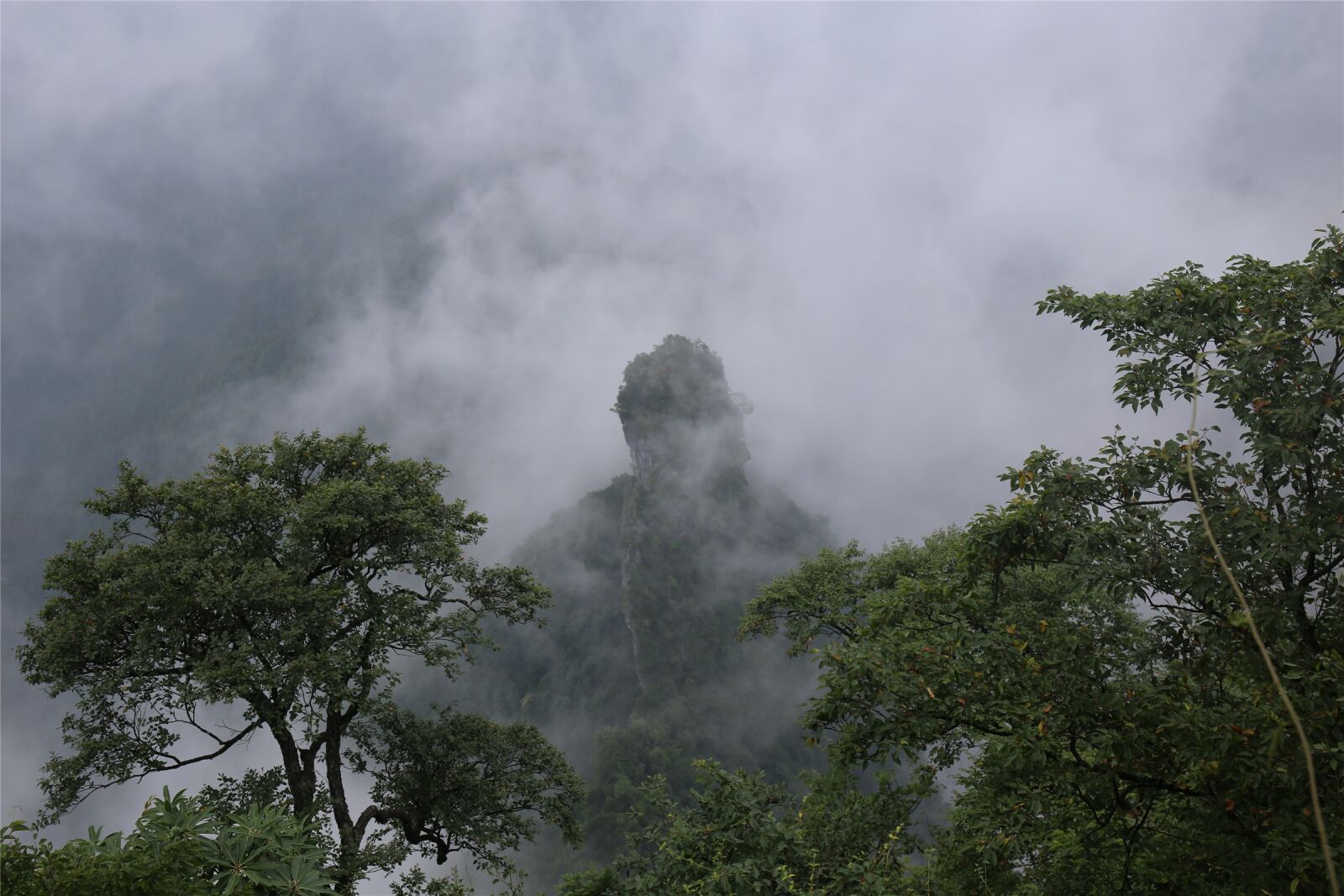 Canon EF 24-70mm F4L IS USM sample photo. Zhangjiajie, tianmen mountain, tourism photography