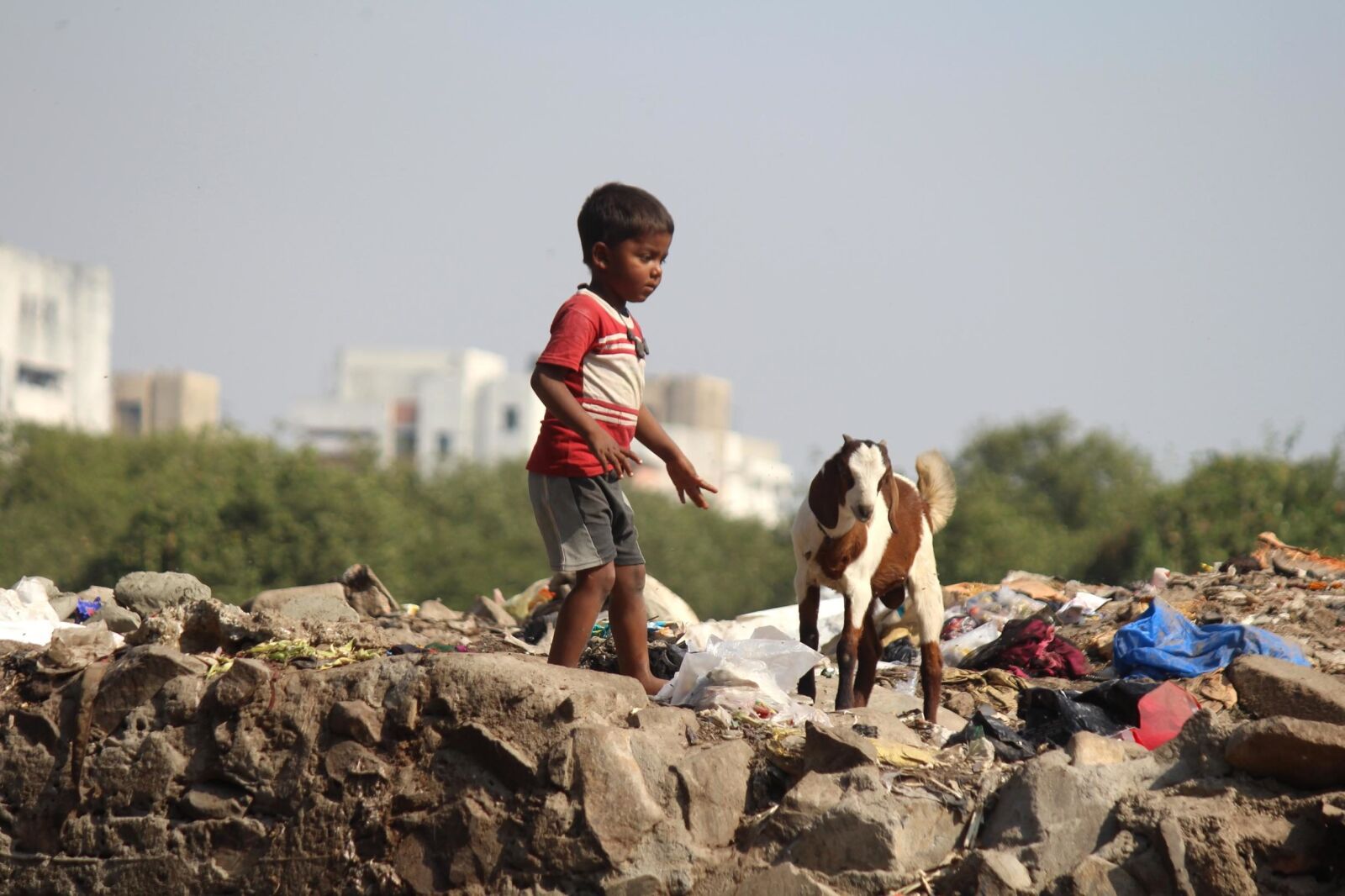 Canon EOS 600D (Rebel EOS T3i / EOS Kiss X5) sample photo. Junkyard, child, india, goat photography