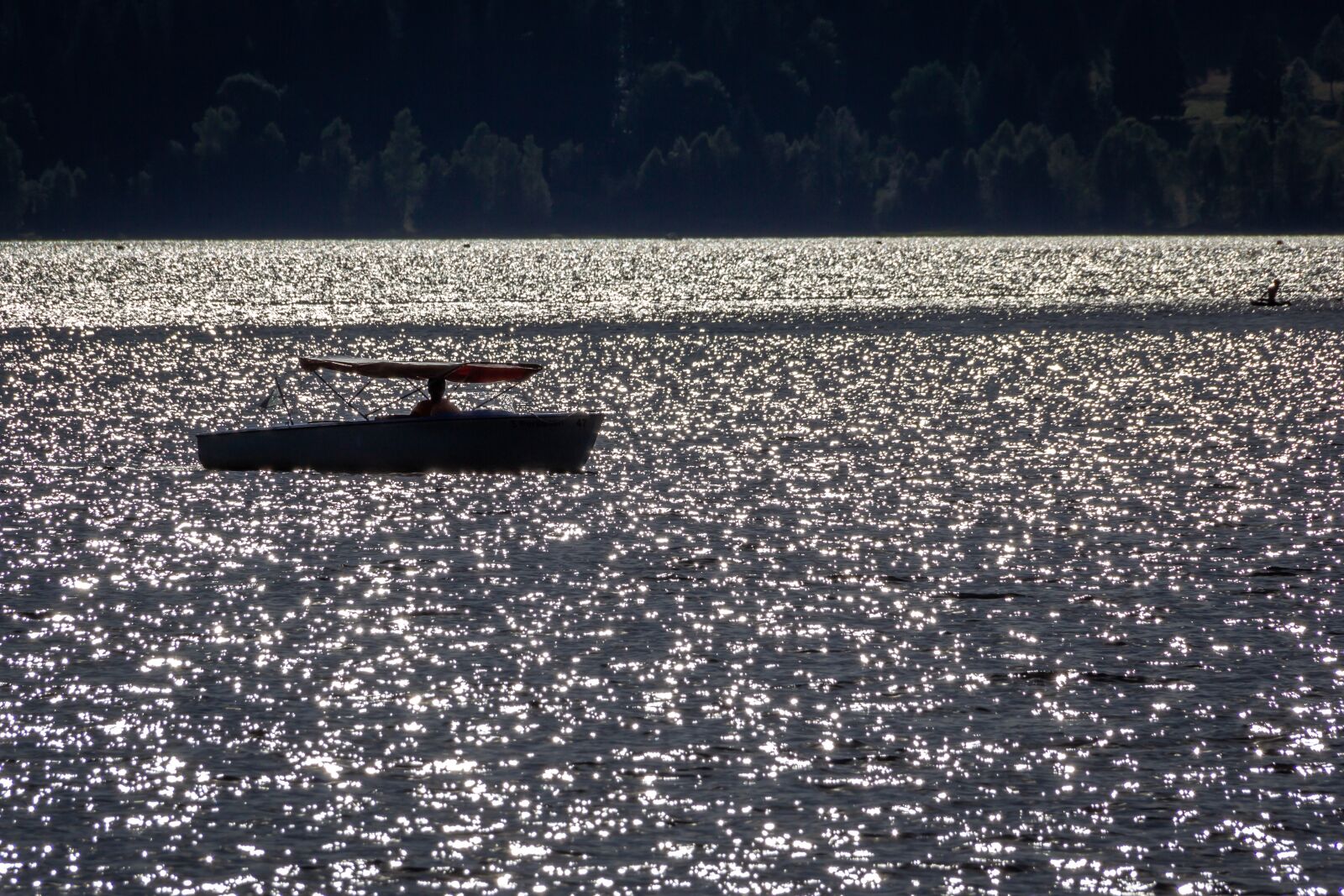 Canon EOS 60D sample photo. Water, backlighting, nature photography
