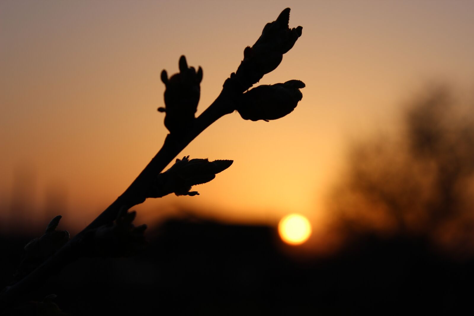 Canon EOS 600D (Rebel EOS T3i / EOS Kiss X5) sample photo. Dawn, sunset, sky photography