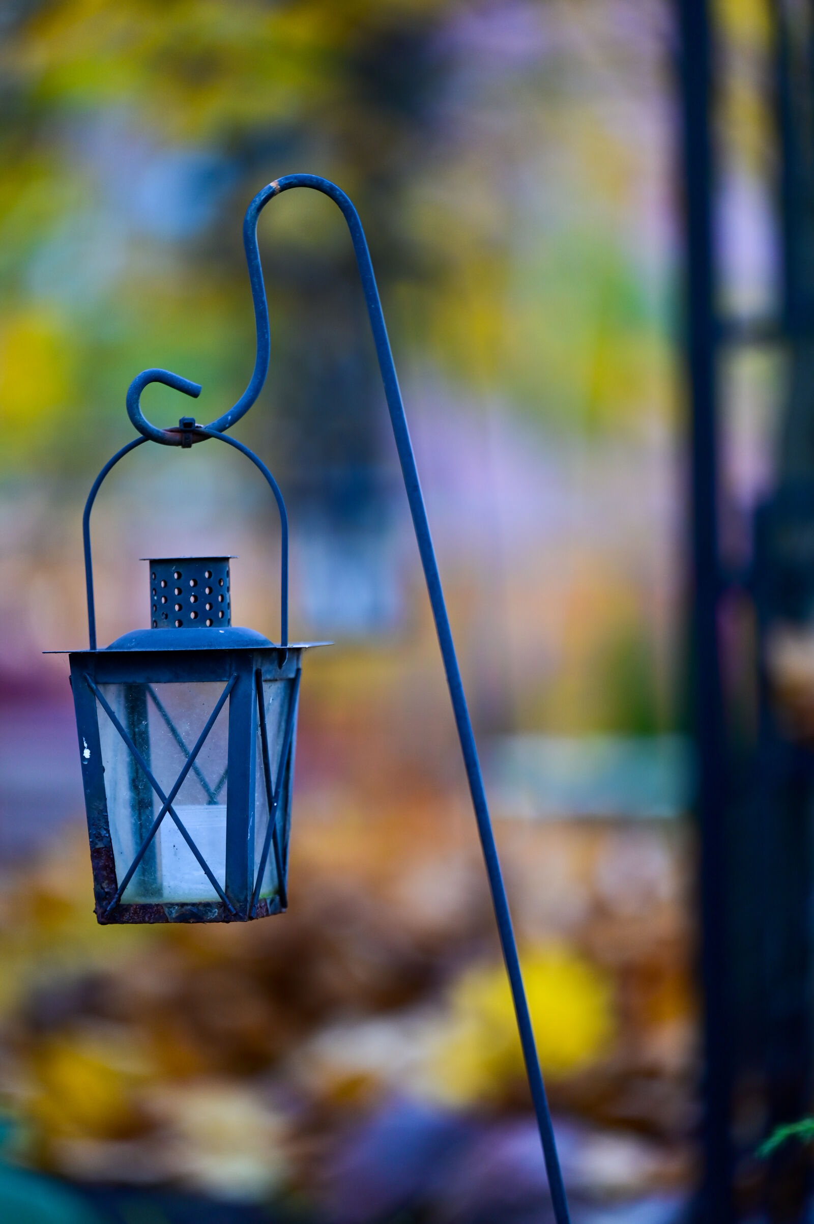 Nikon Z6 II sample photo. Lantern of autumn photography