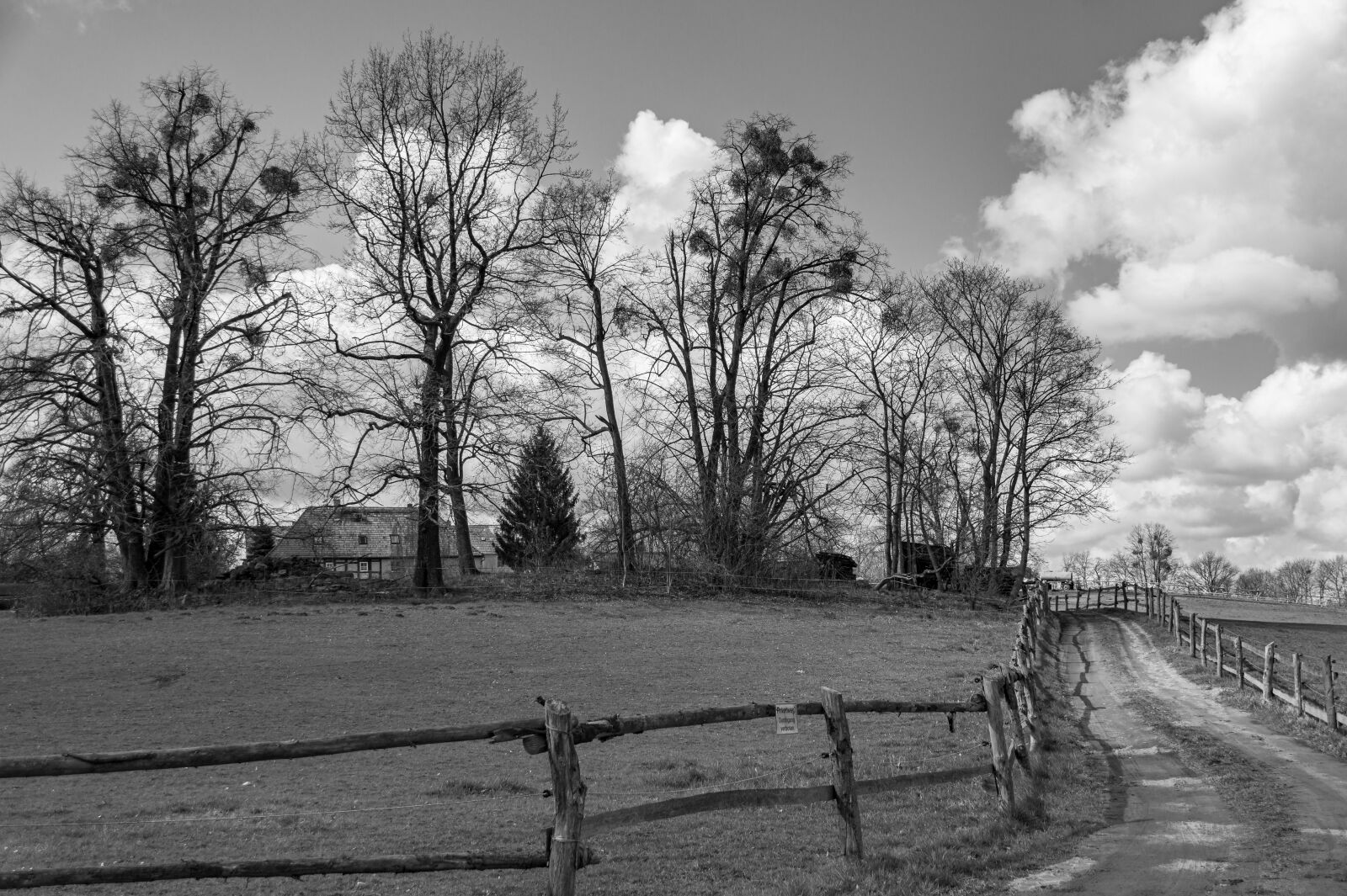 Sony SLT-A58 sample photo. Black and white, landscape photography