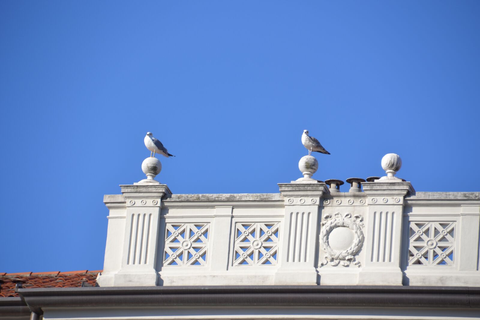 Nikon D3100 sample photo. Italy, trieste, city photography