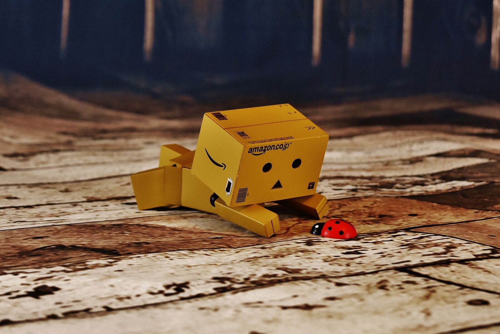 Nikon D7200 sample photo. Danbo, concerns, ladybug photography